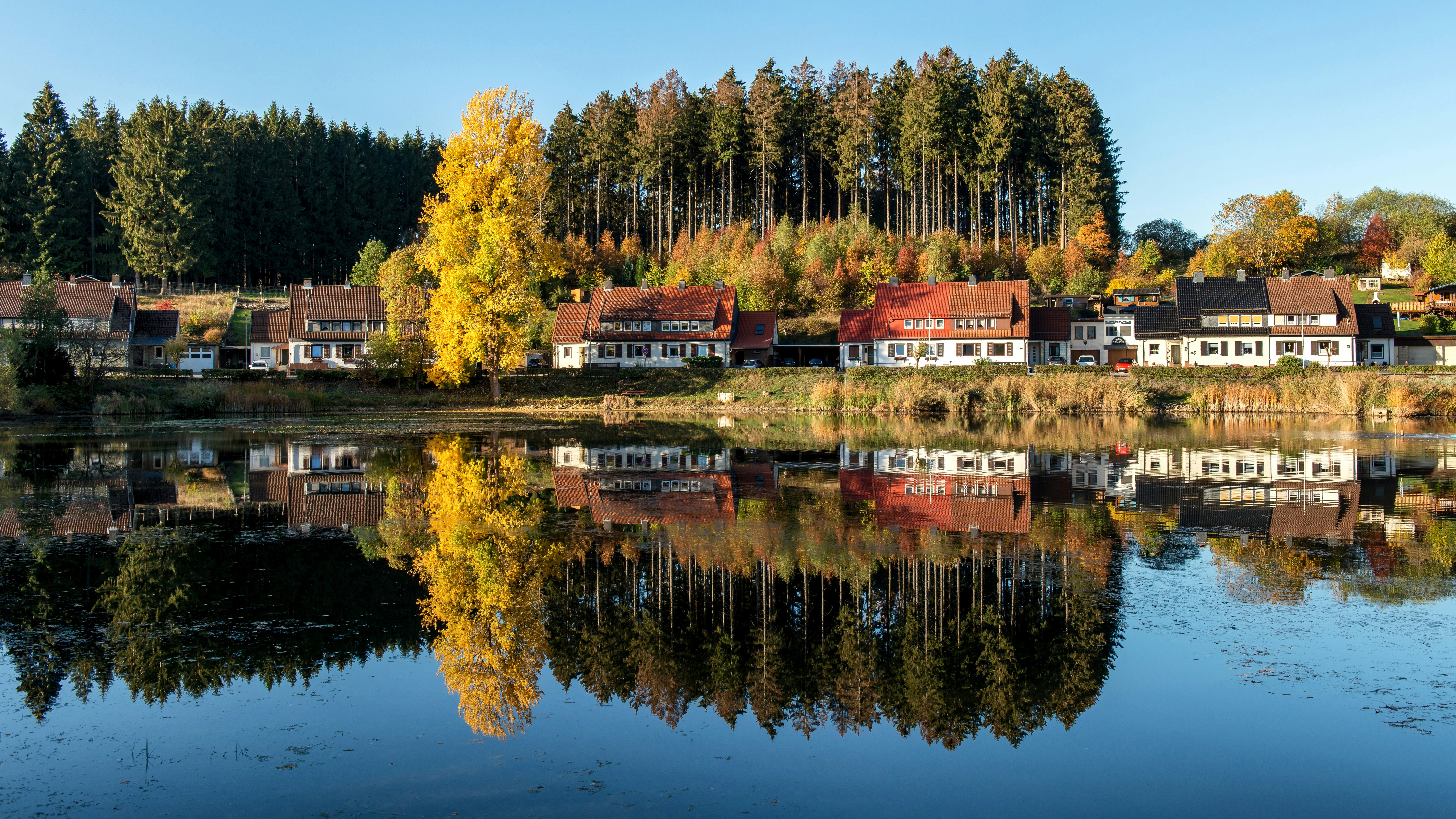 Photo by hamburgmeinefreundin