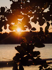 The sun is setting over a body of water