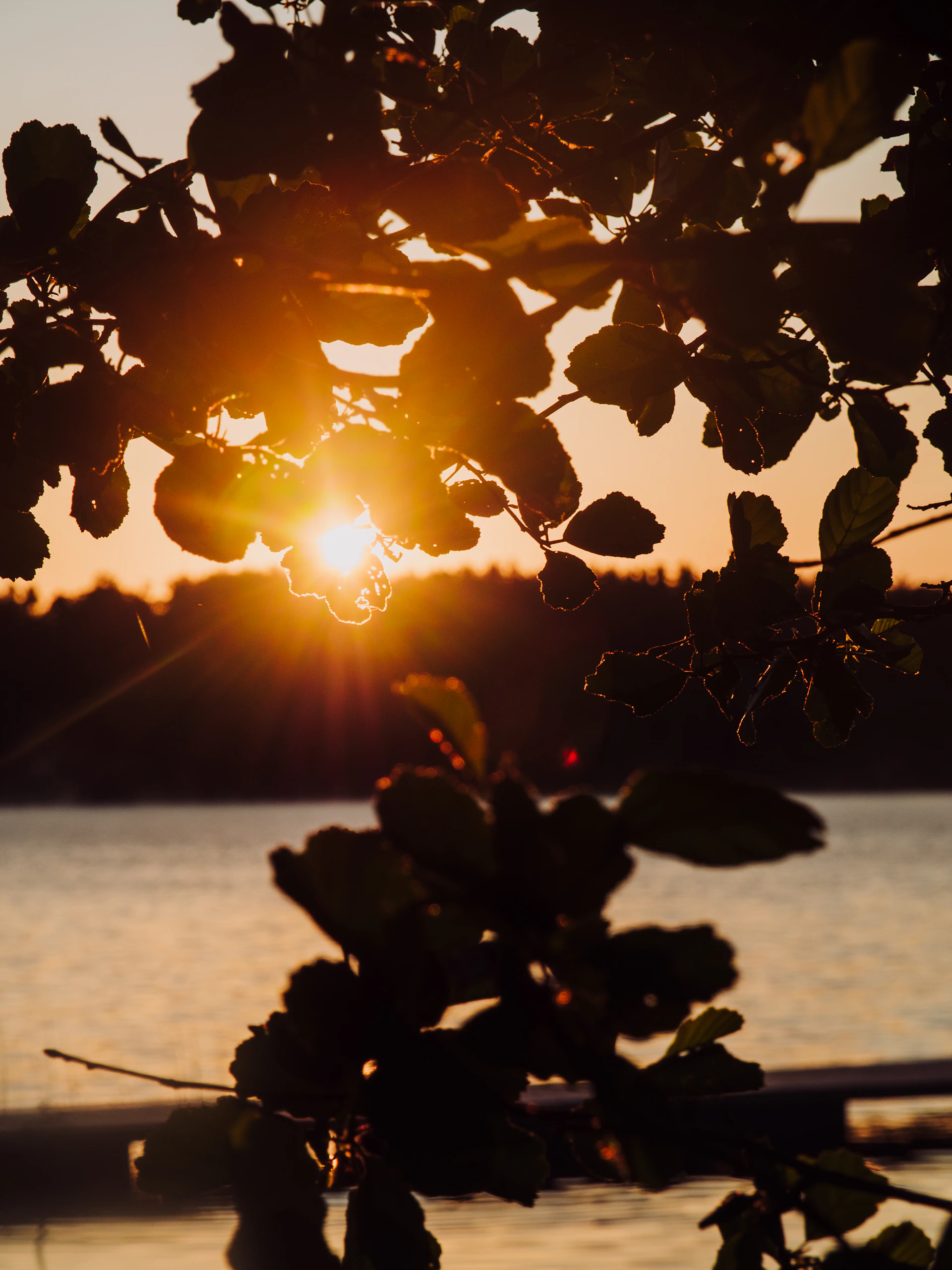 The sun is setting over a body of water