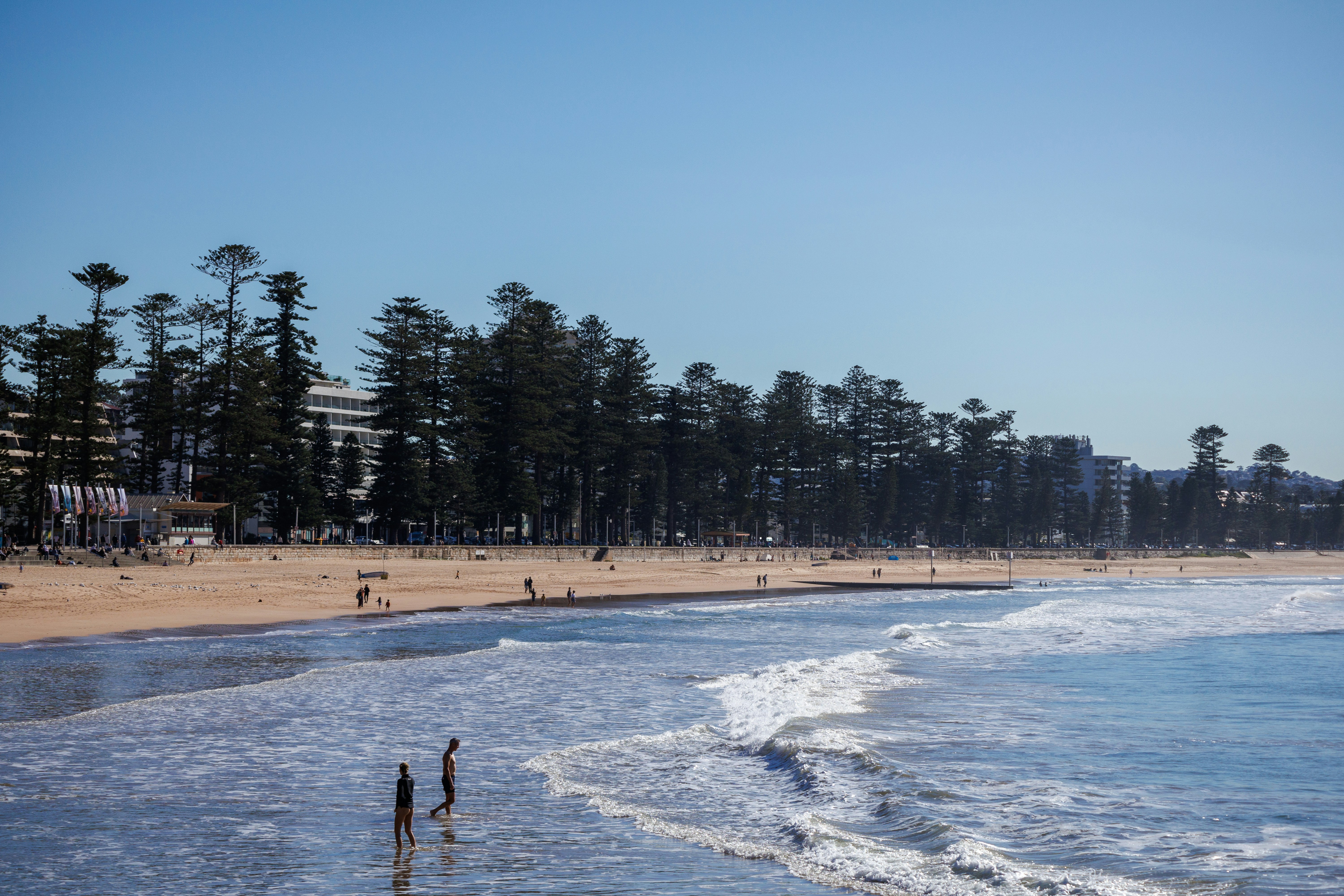 Manly Beach photo 3