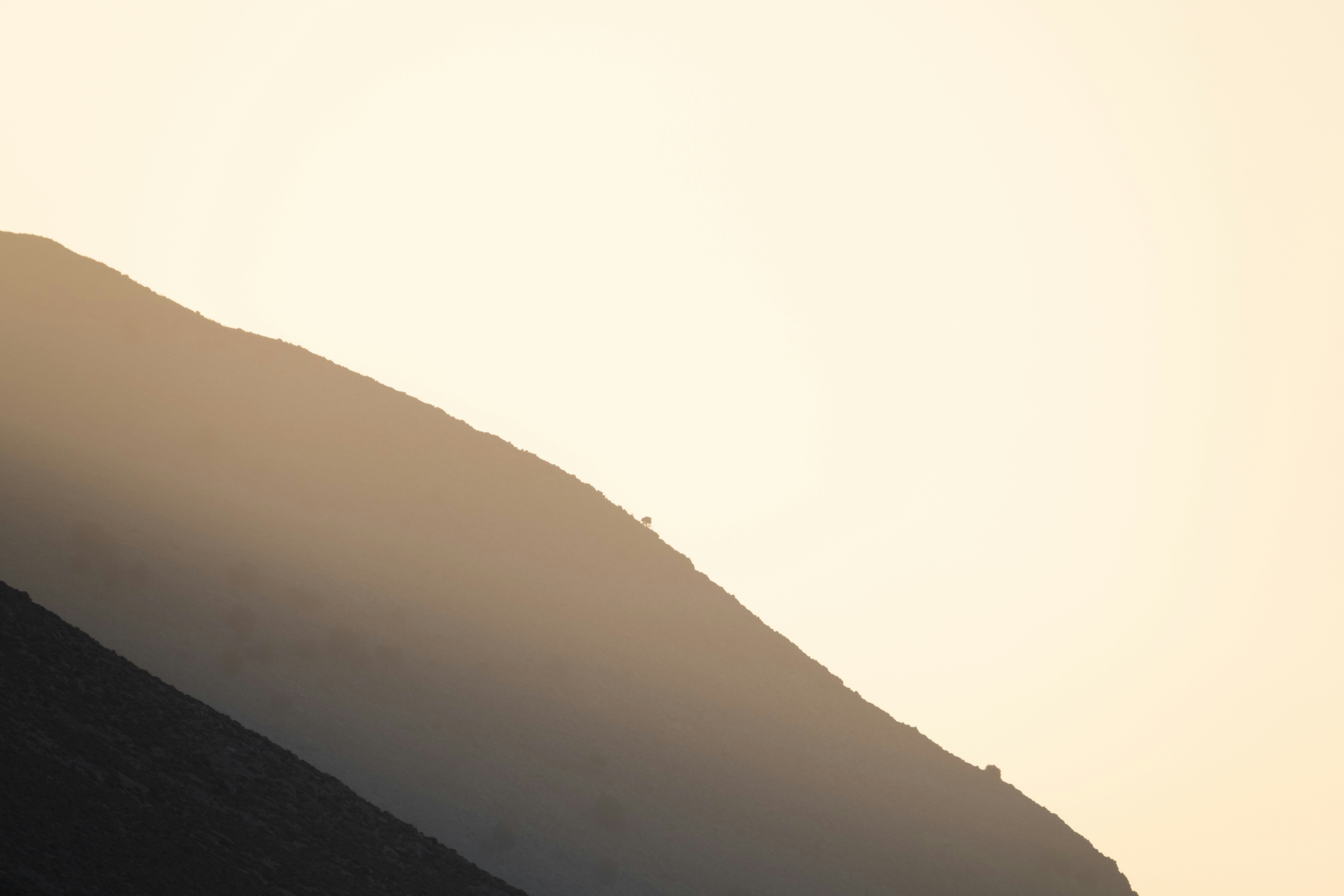 Photo by francesco_ungaro