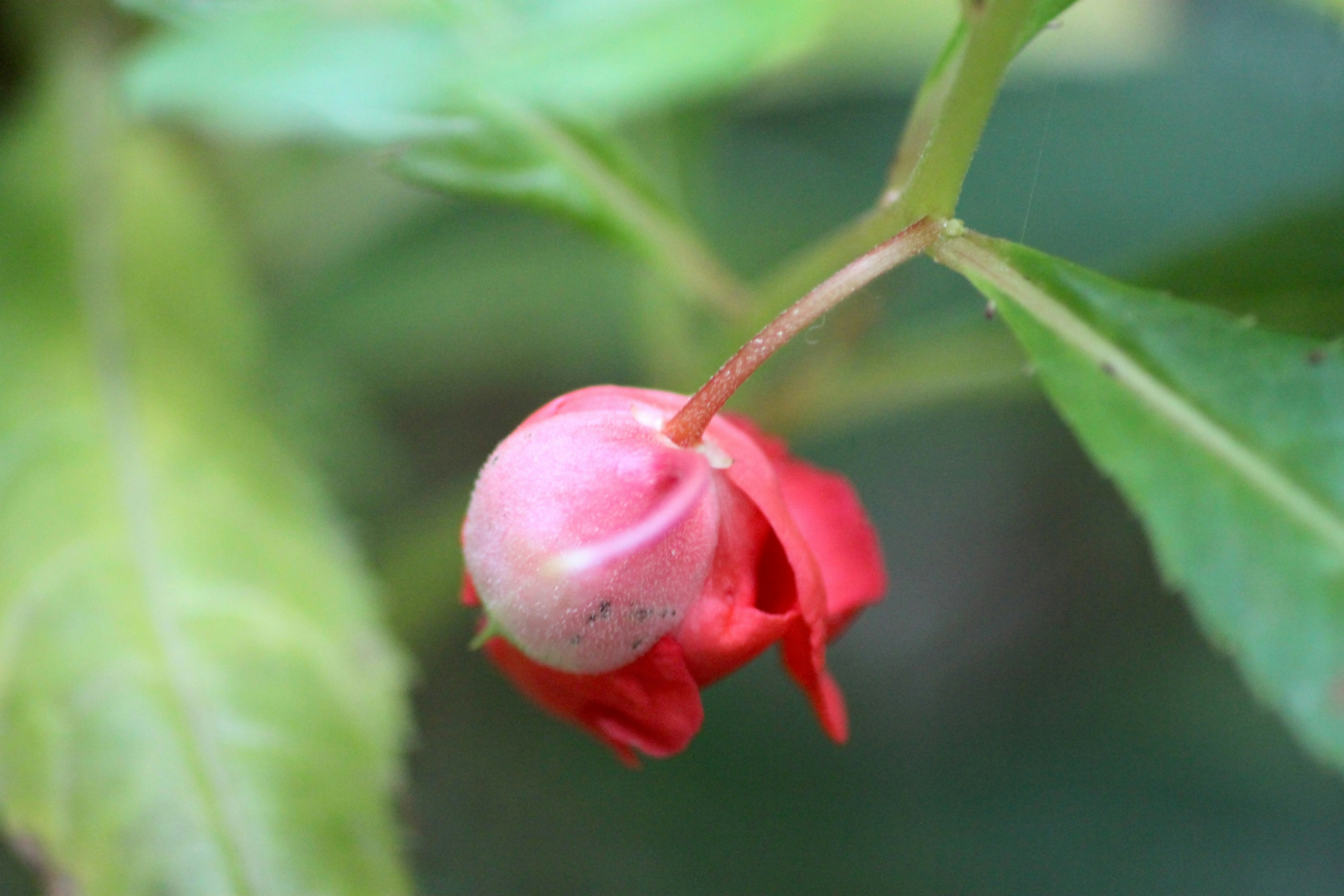 Photo by rahul_saraf