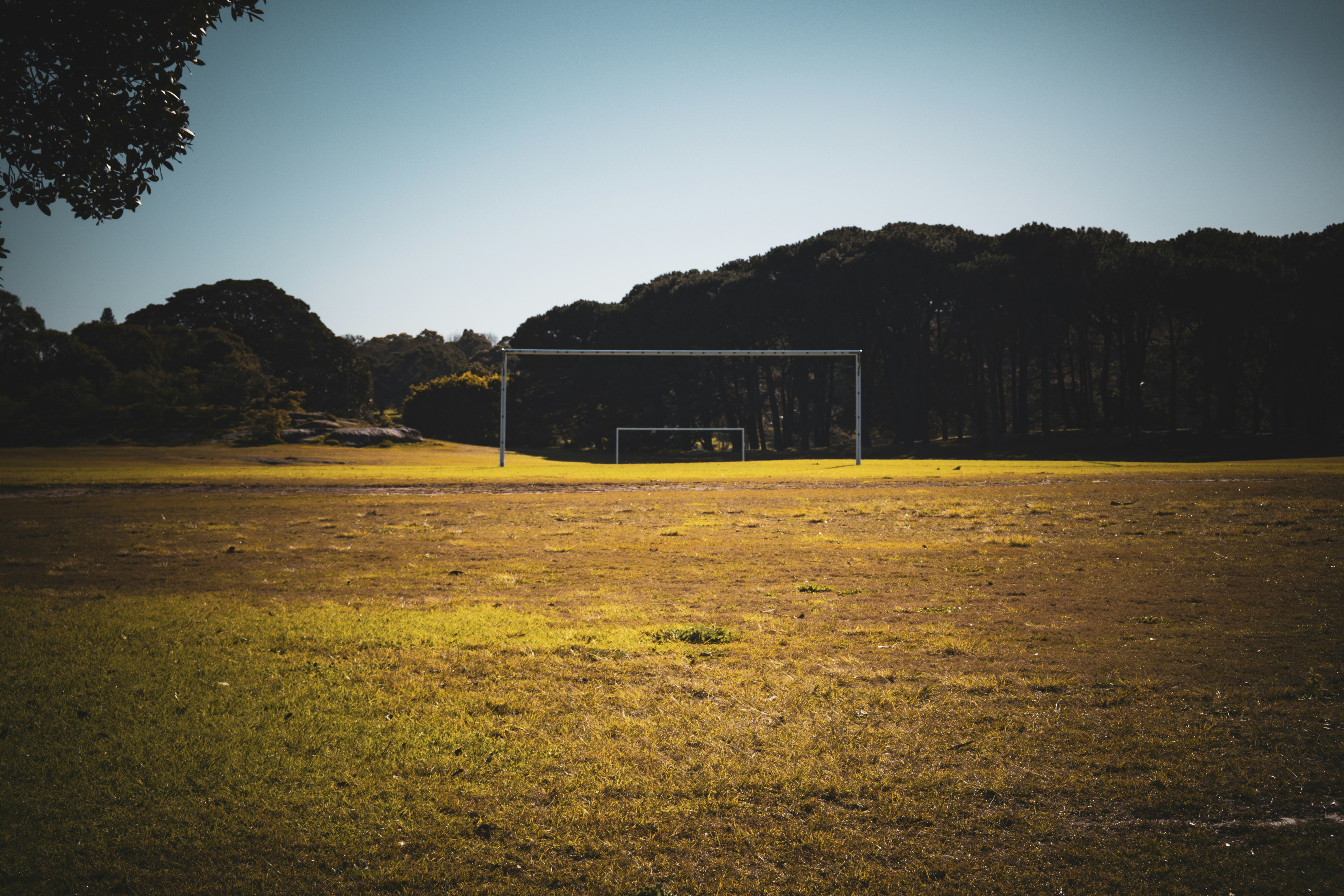 Entrenamiento Abierto