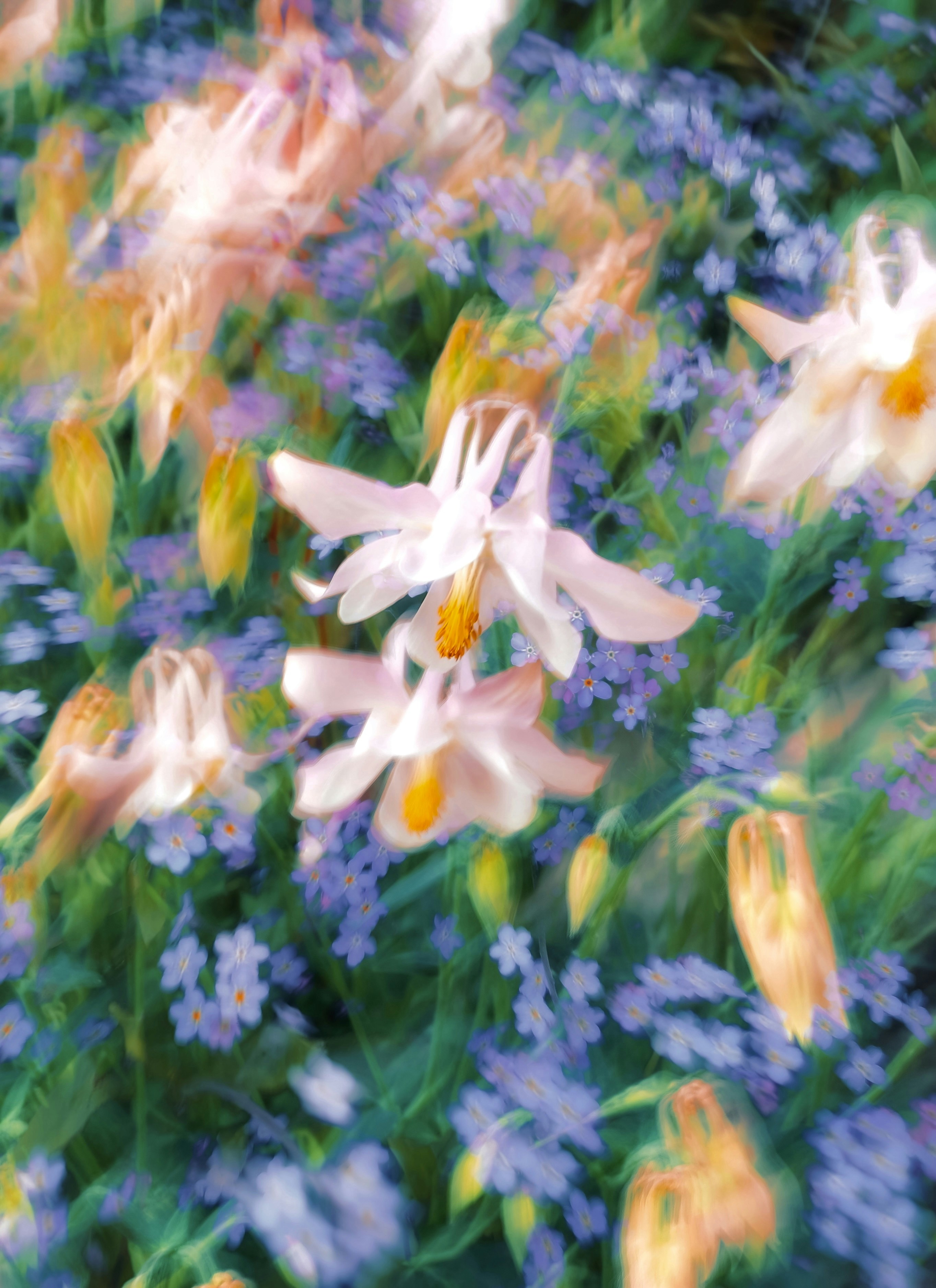 Photo by eugene_golovesov