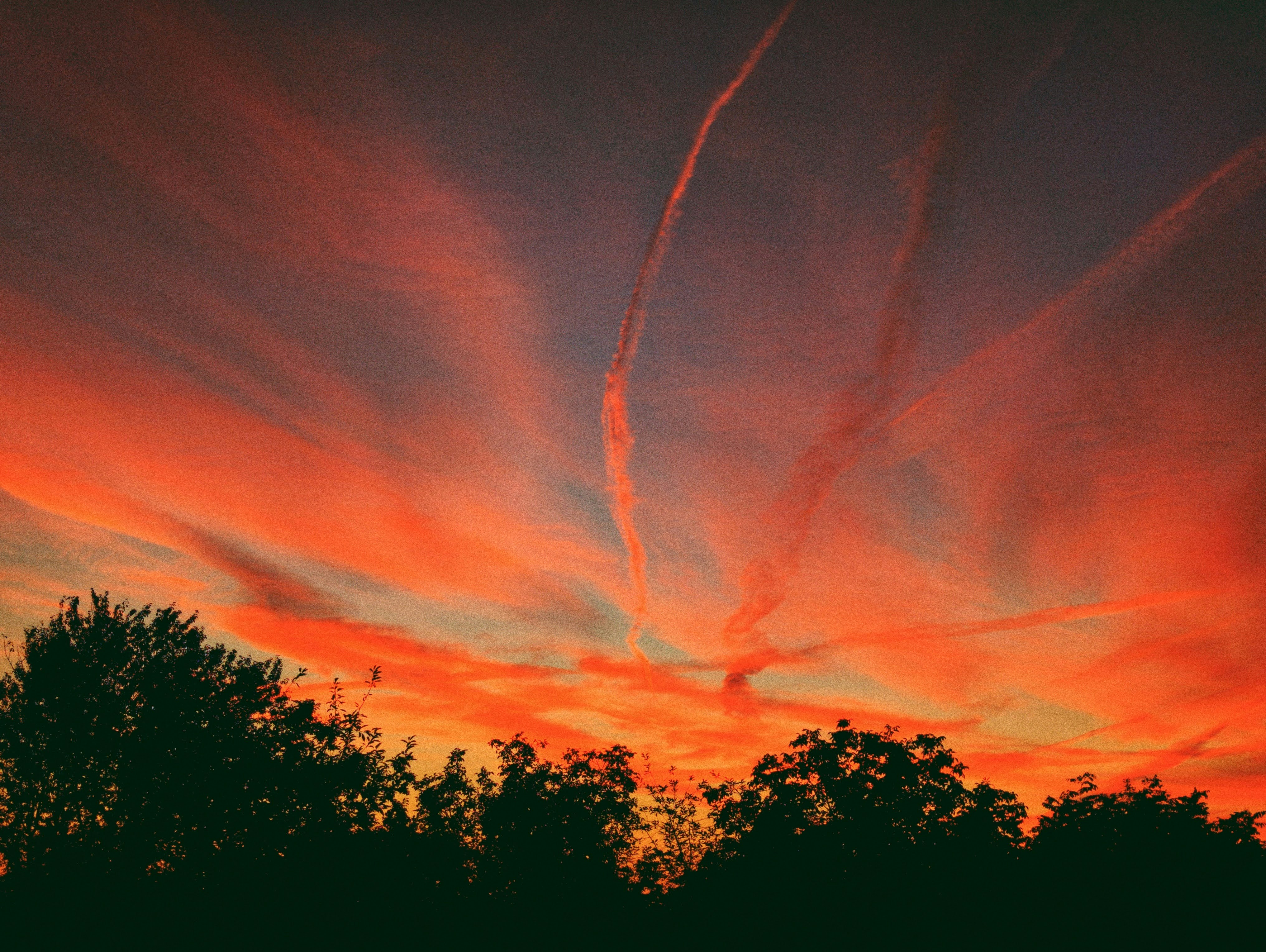 Photo by nicknice