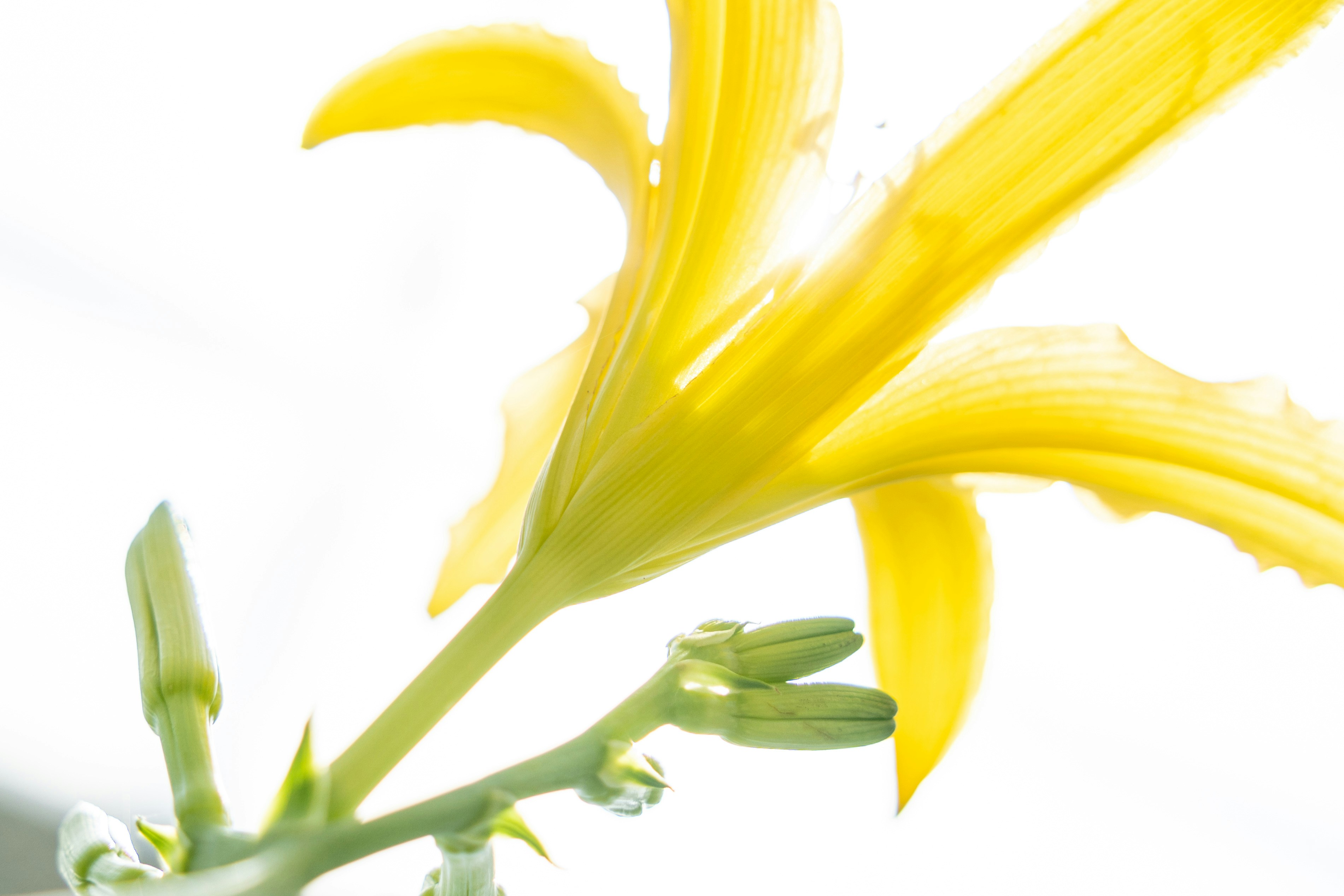 Photo by winstonchen