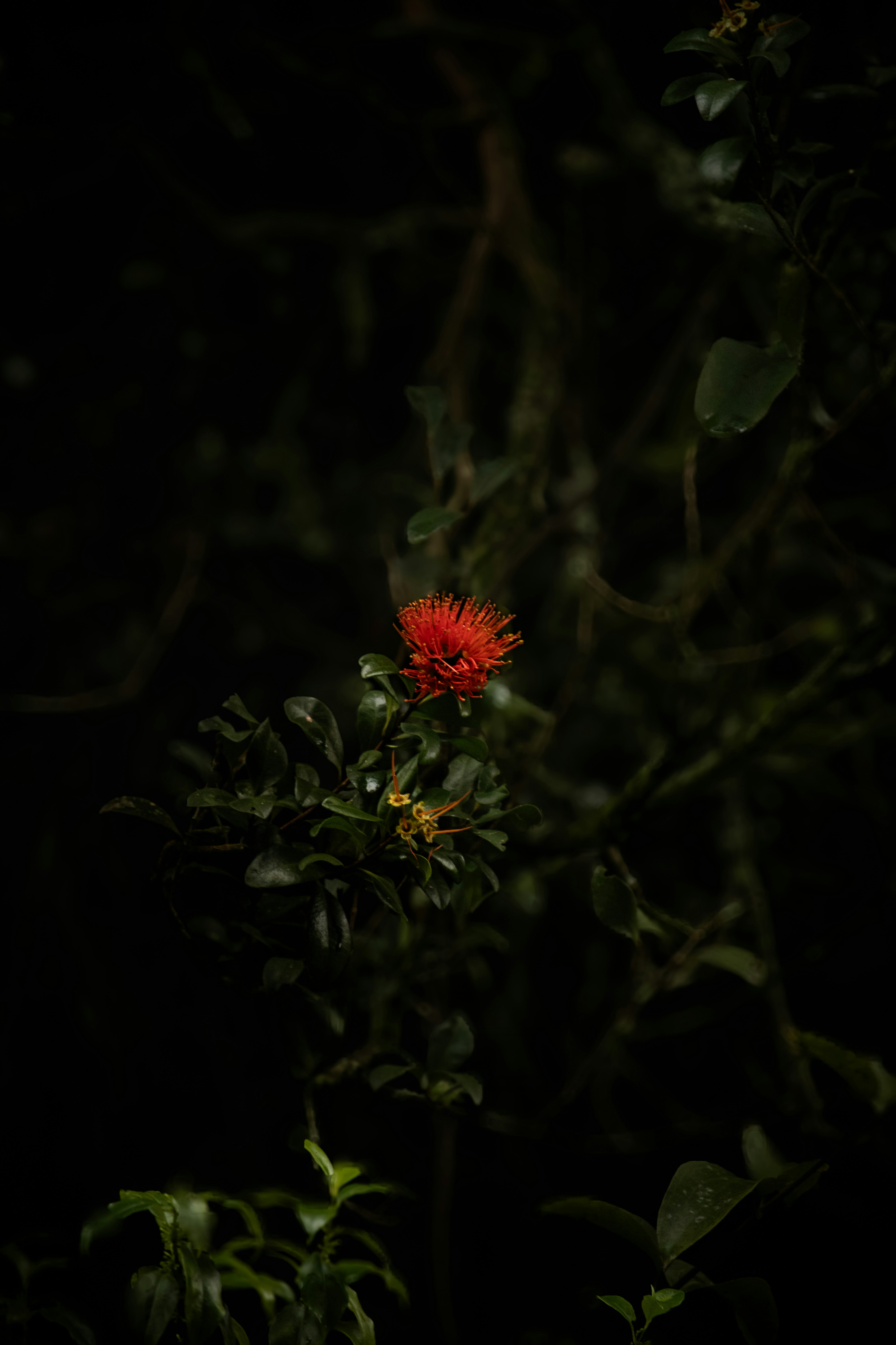 Photo by torsb