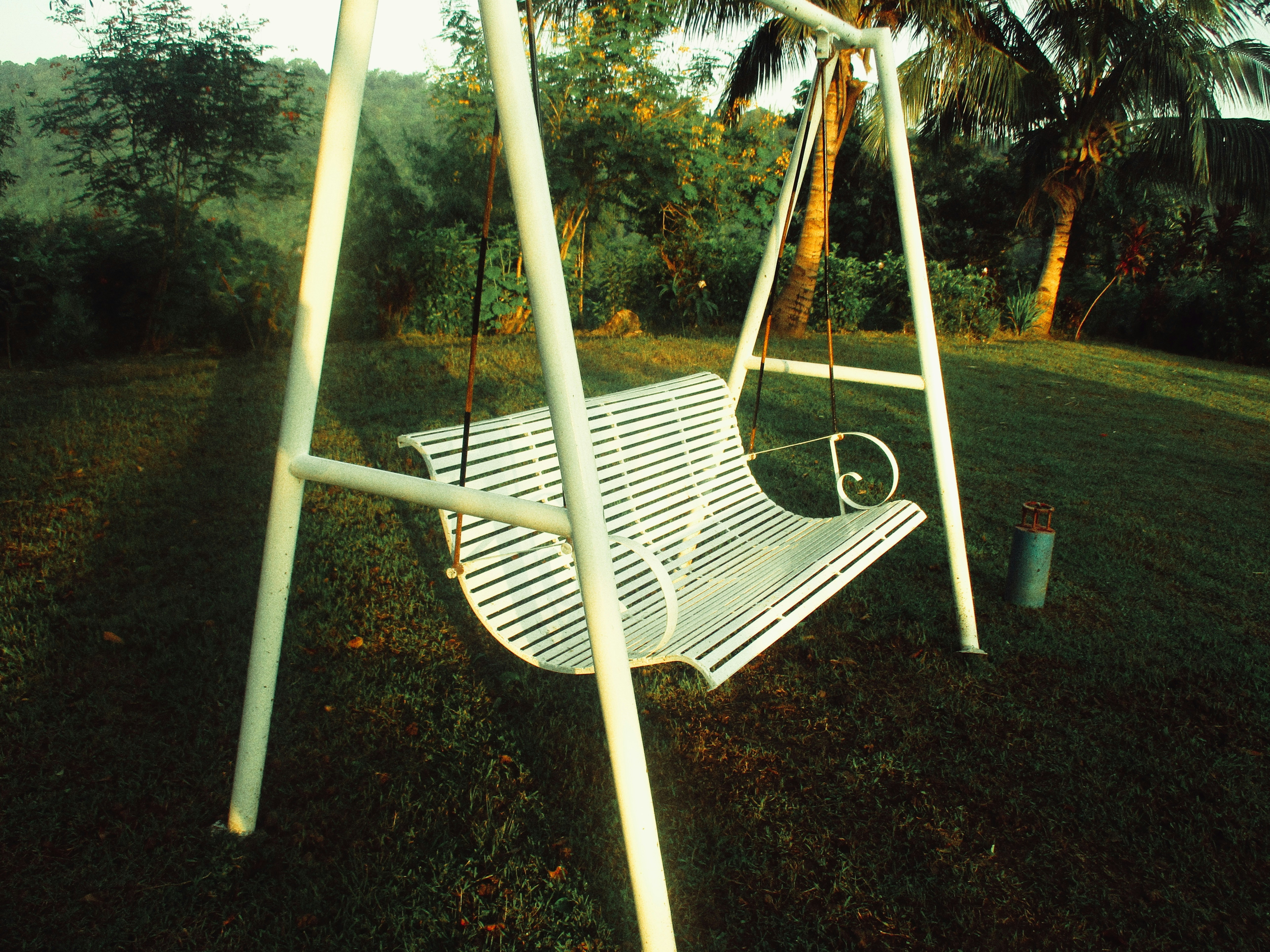 A white swing in a grassy area next to trees