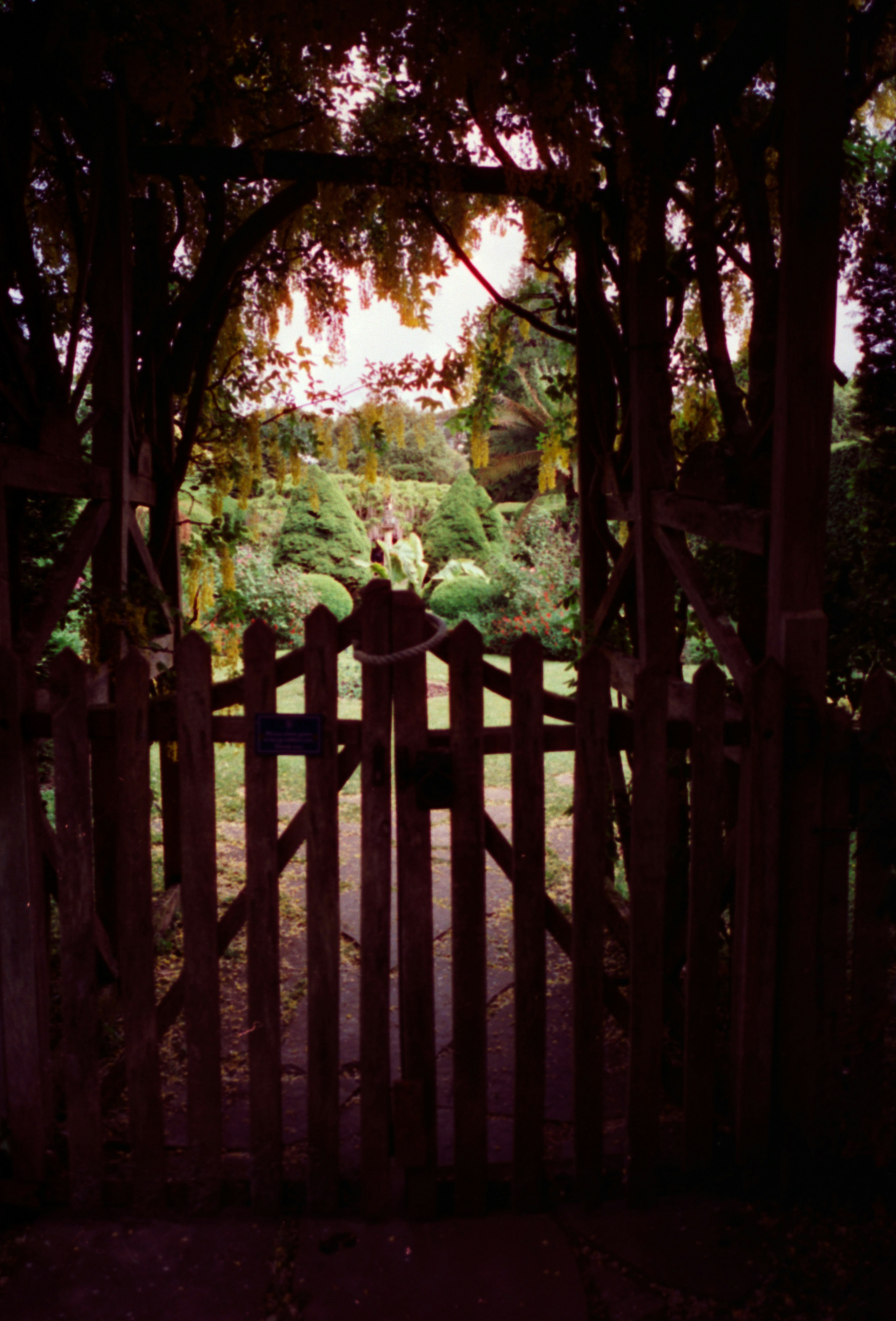 Photo by anniespratt