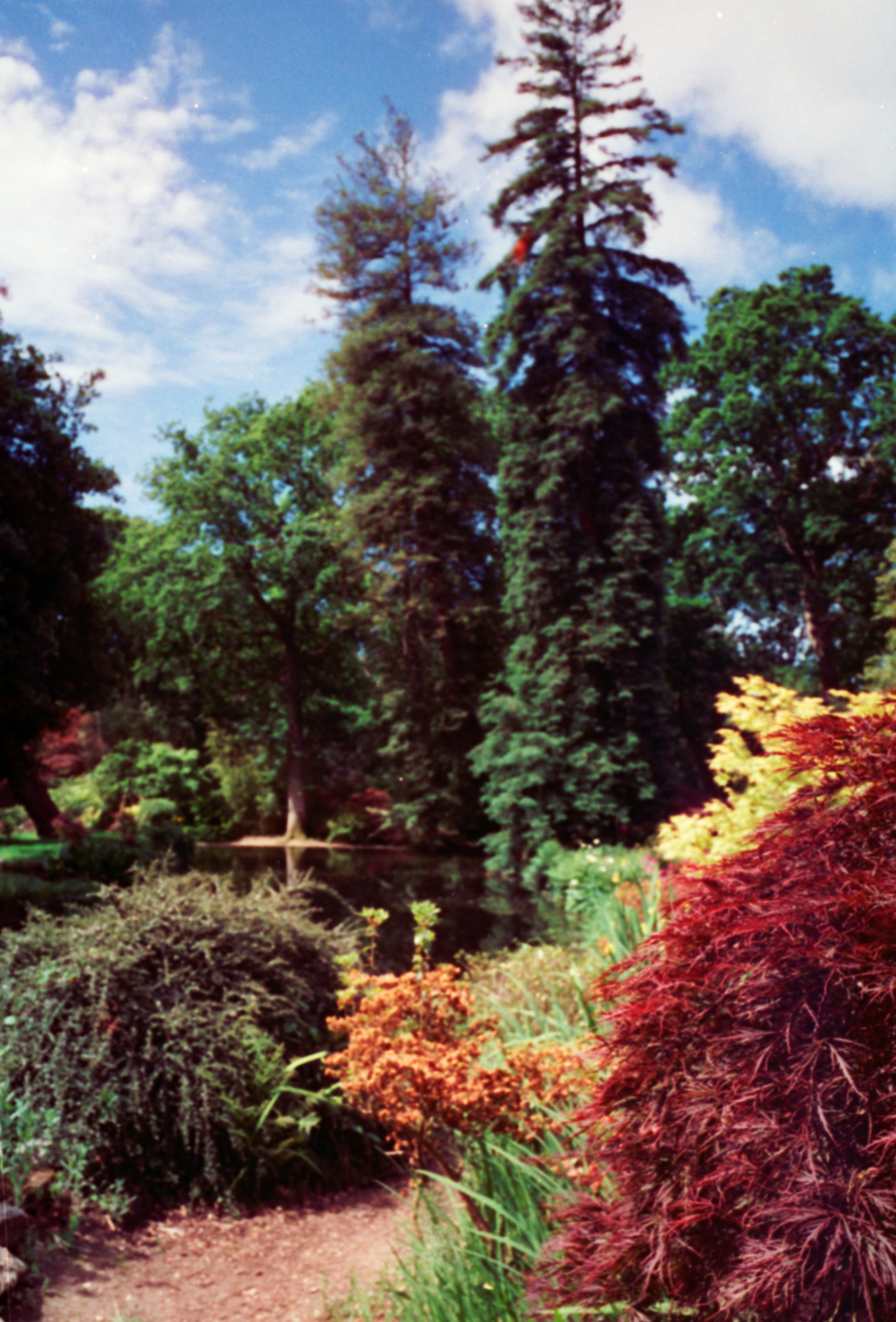 Photo by anniespratt