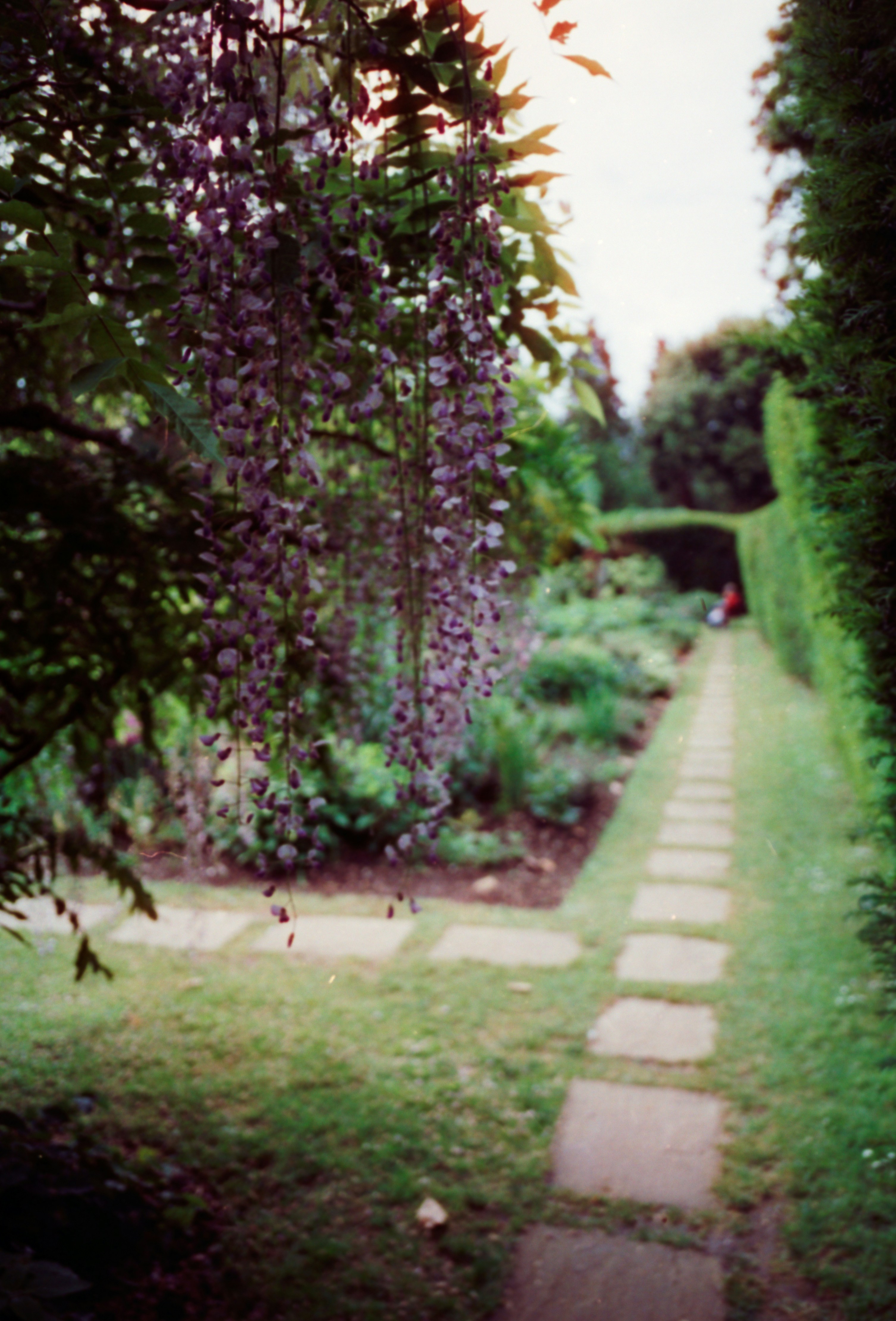 Photo by anniespratt