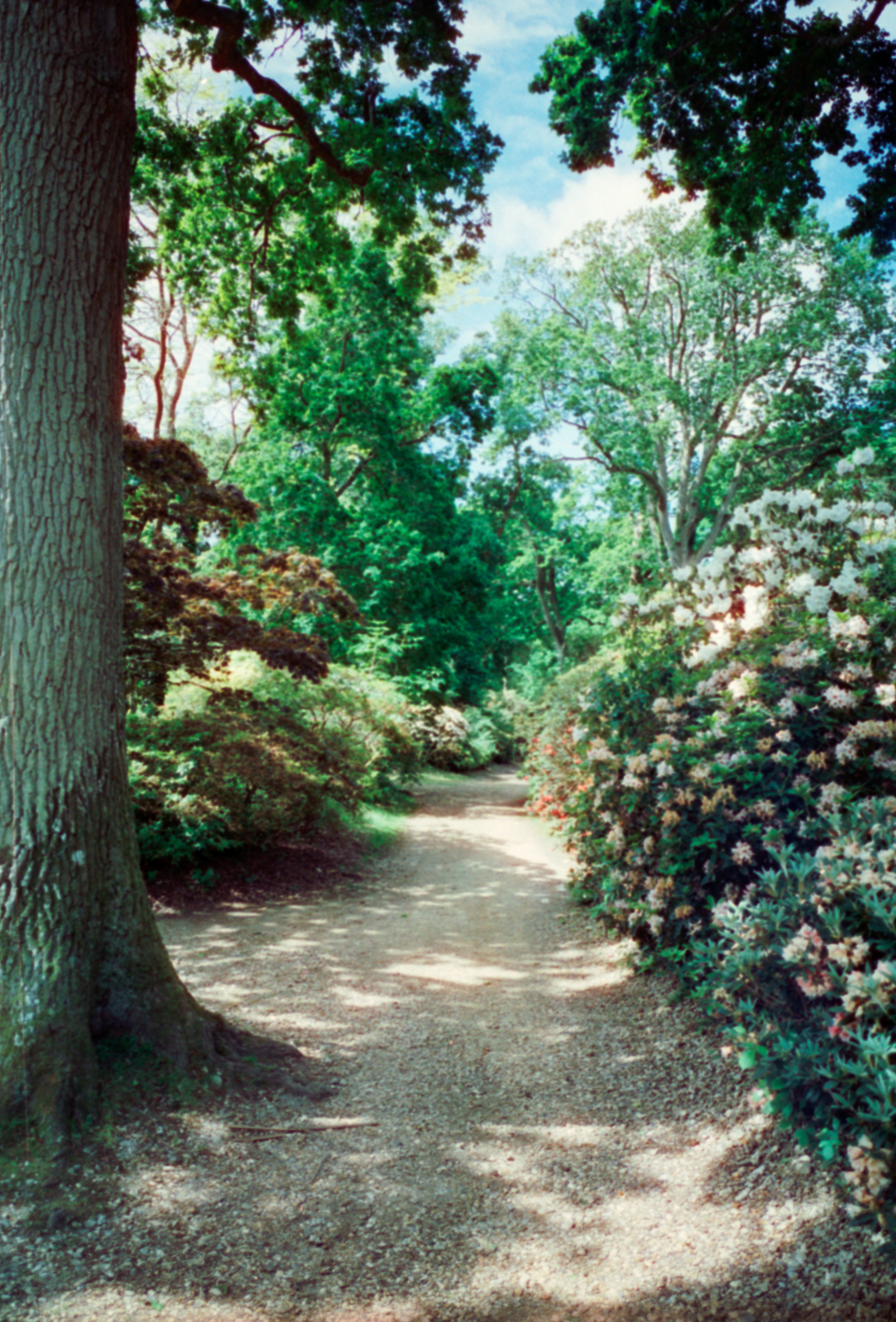 Photo by anniespratt