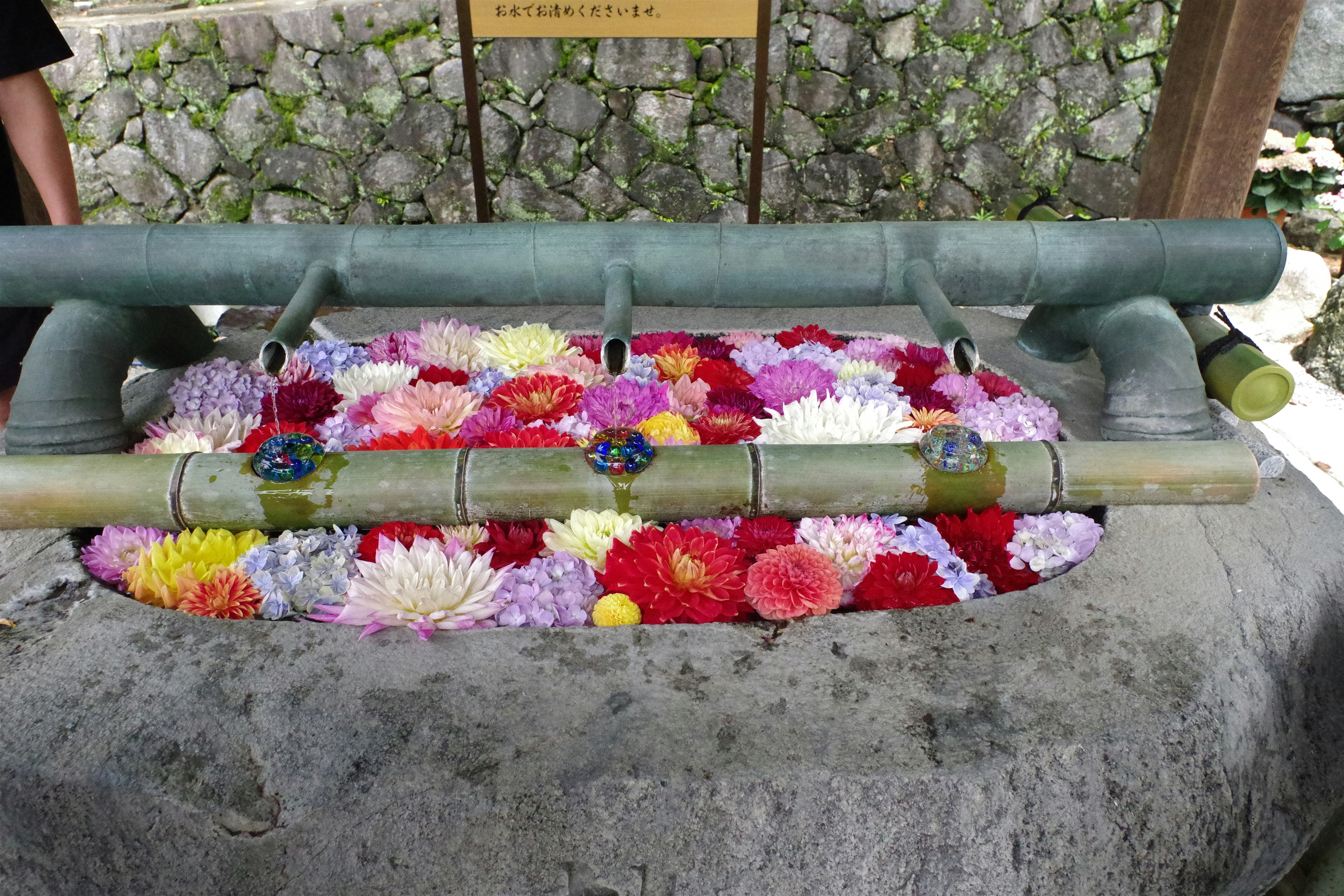 오자키 유타카 죽음 원인 및 미스터리 사건 정리 이미지2