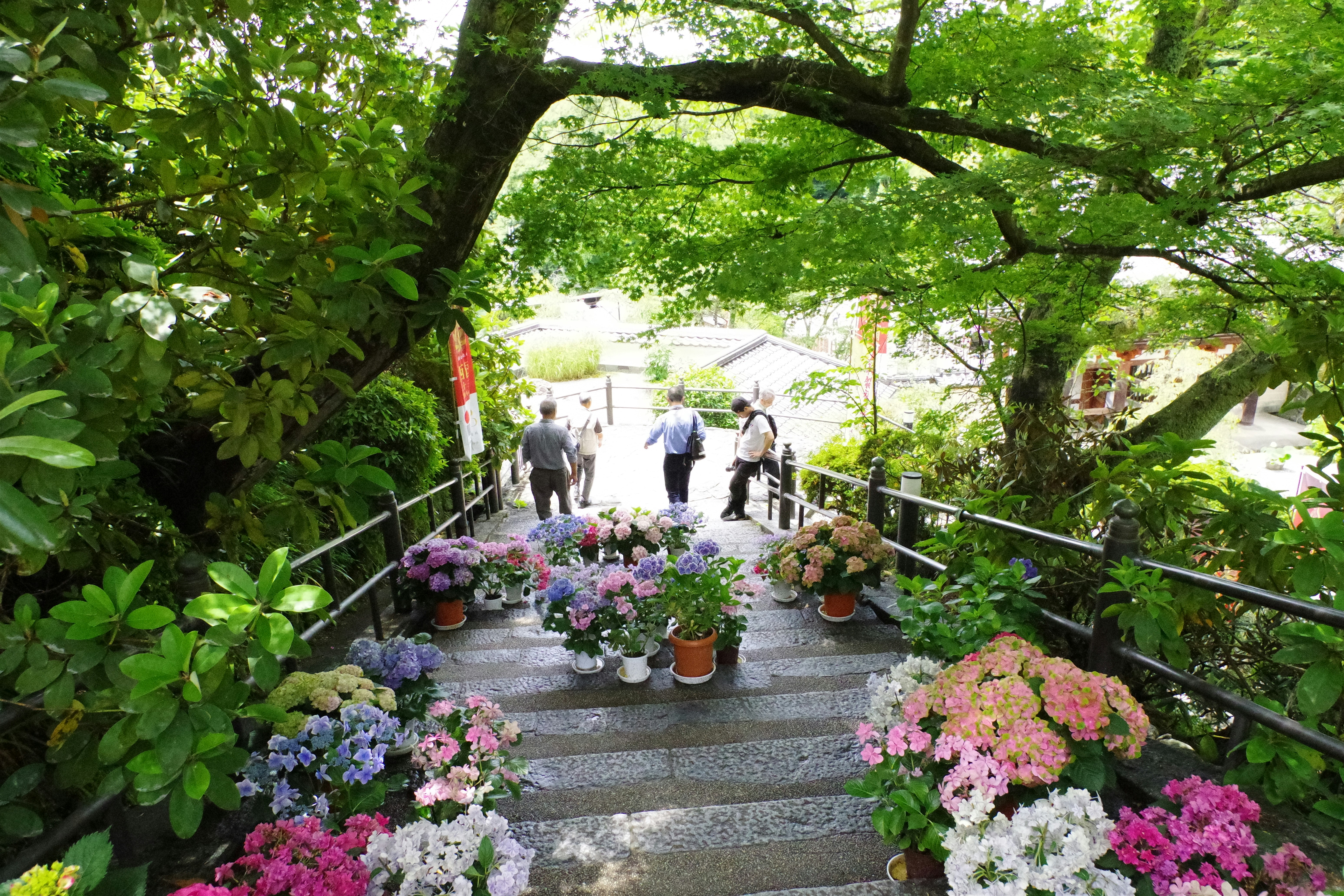 A group of people walking up a flight of stairs photo – Free Flower ...