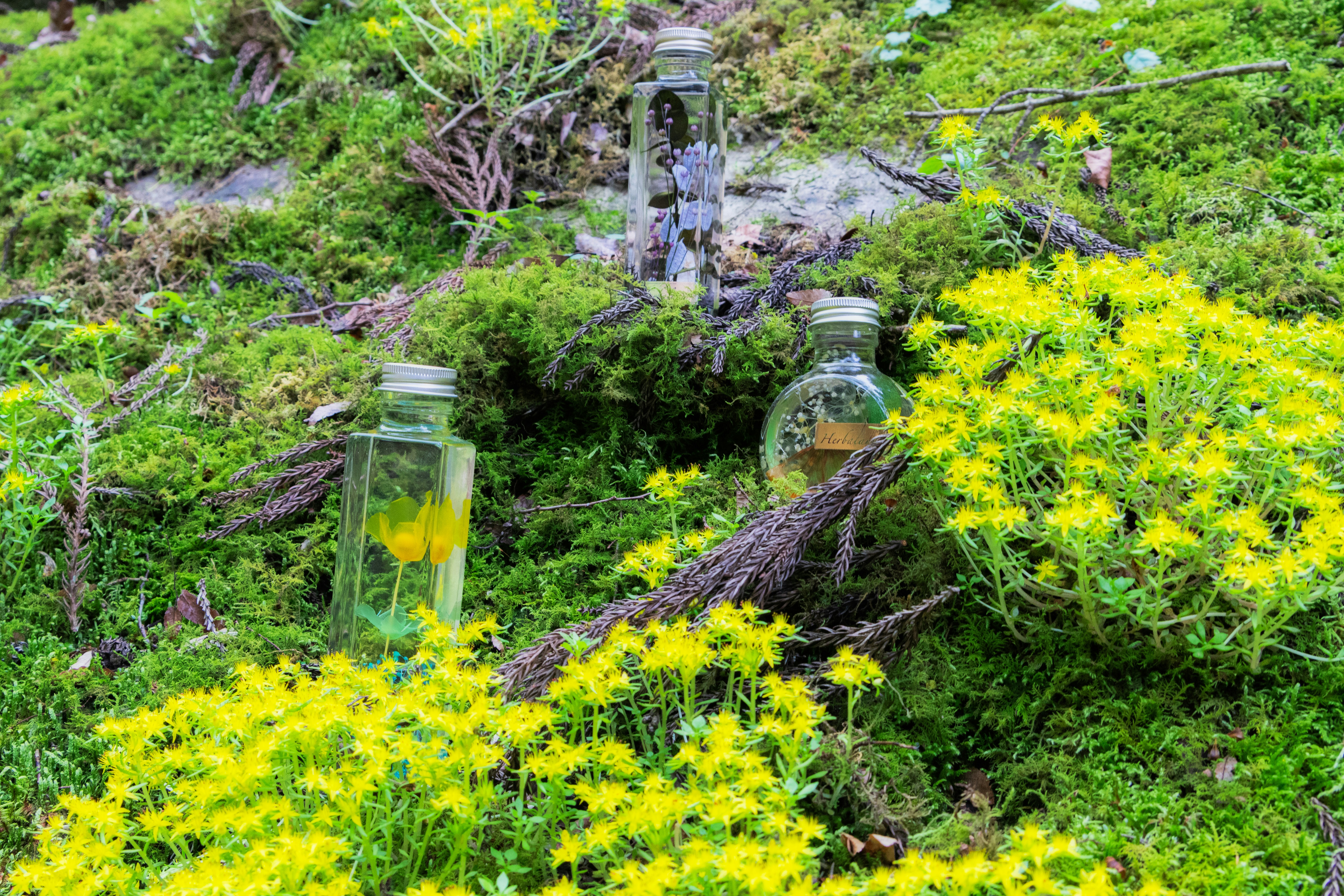 A bunch of bottles that are sitting in the grass