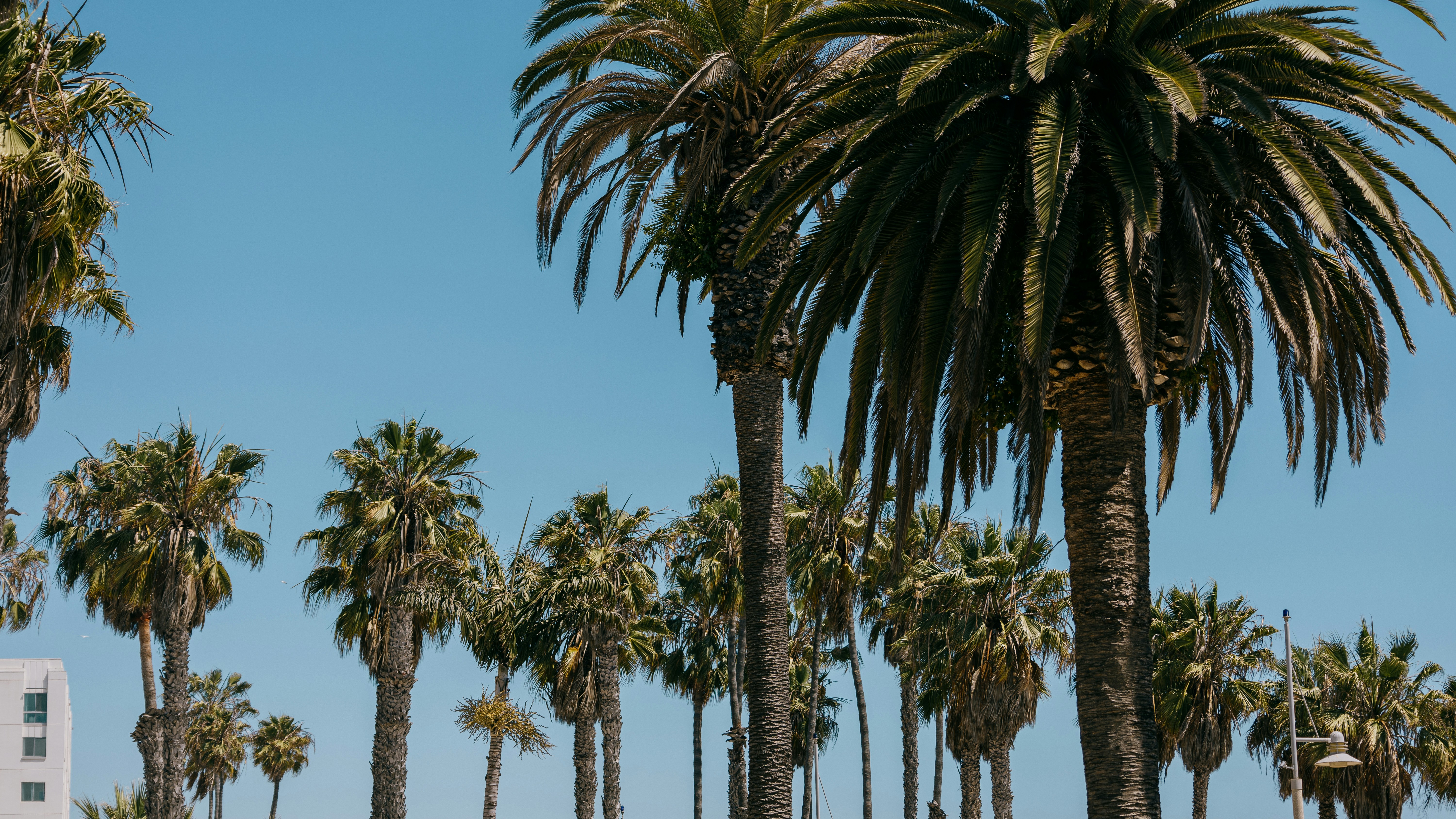 Photo by outrorafael