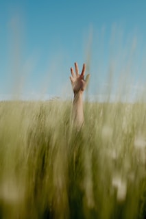 A hand reaching up into a field of tall grass
