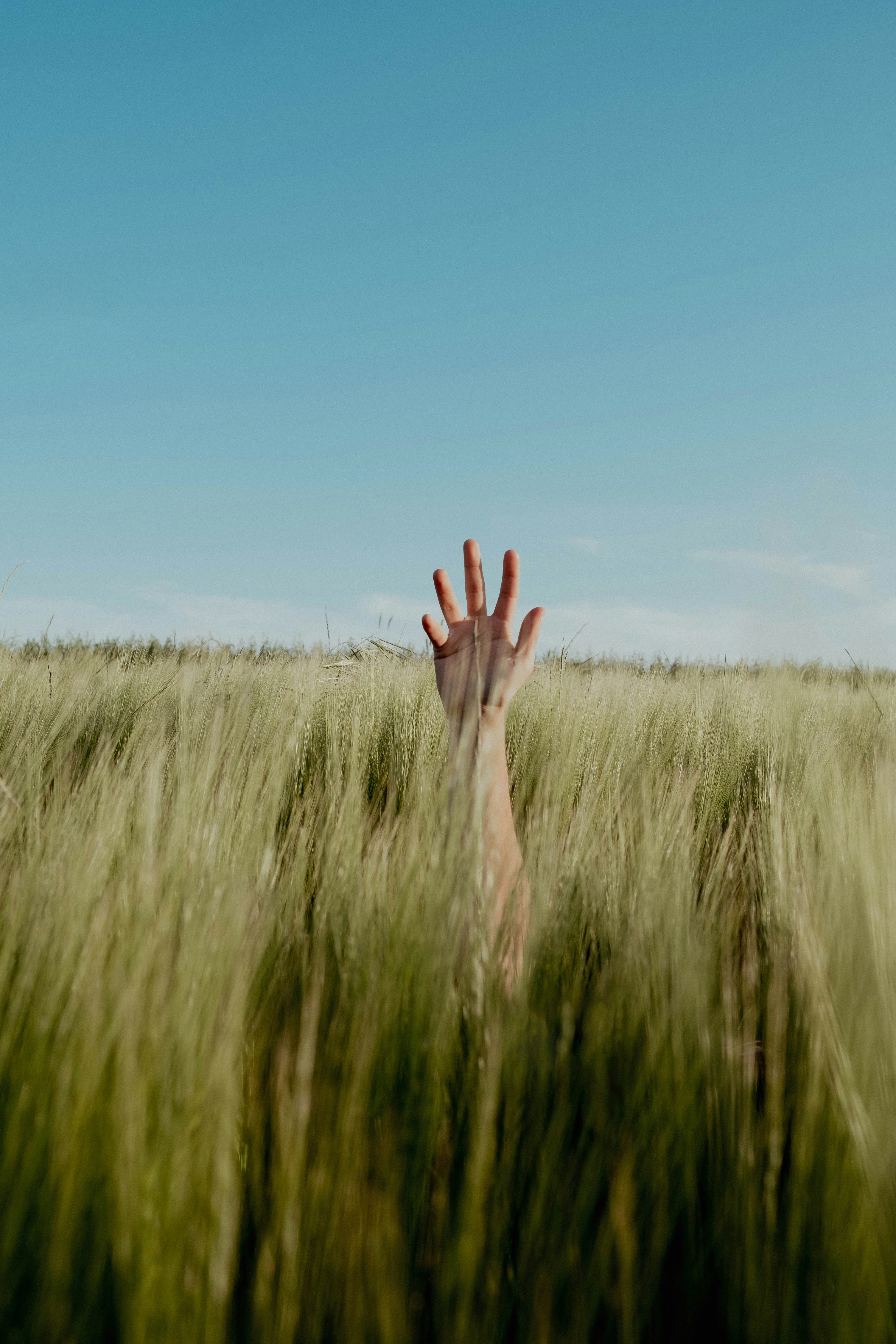 Photo by furkanelveren