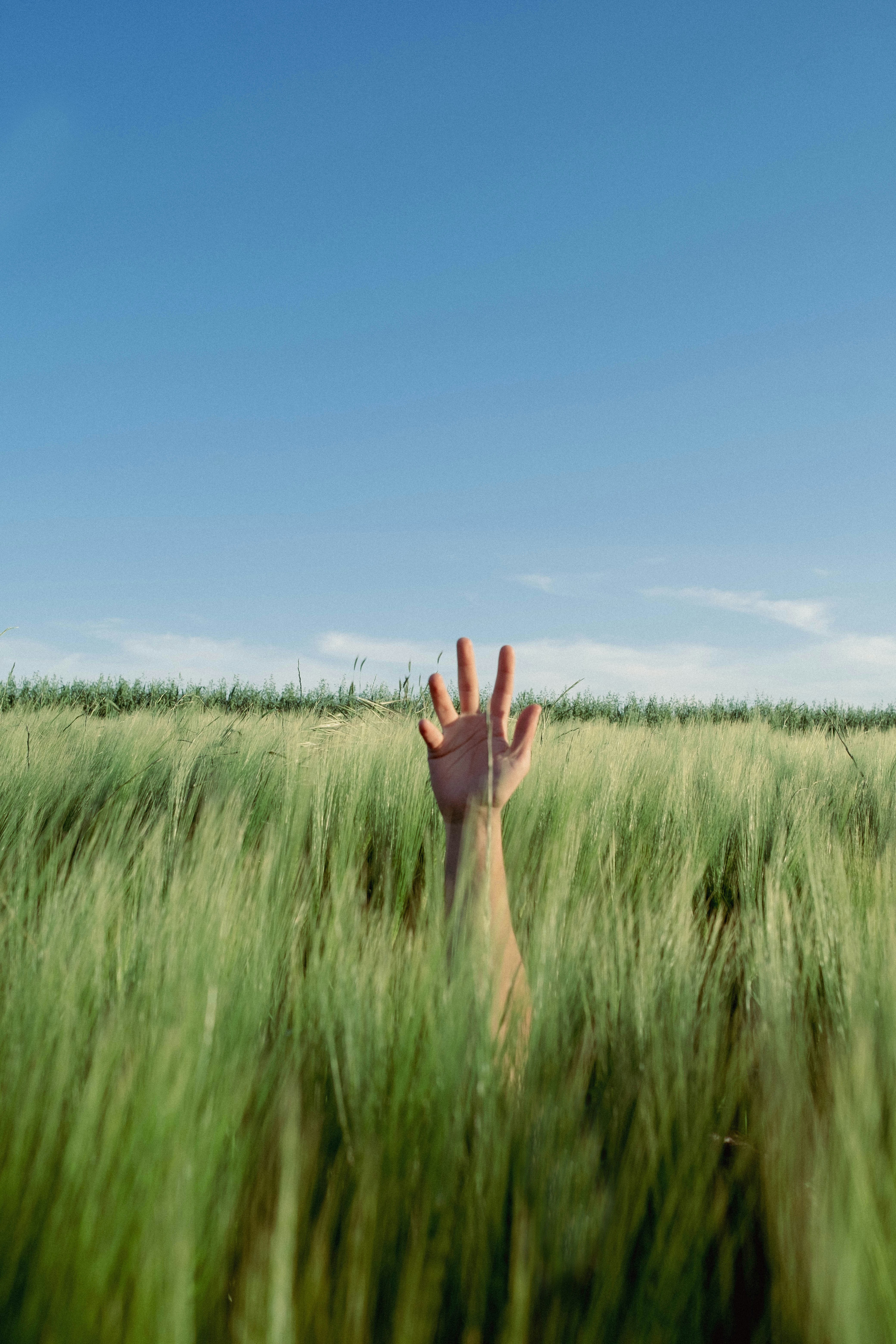 Photo by furkanelveren