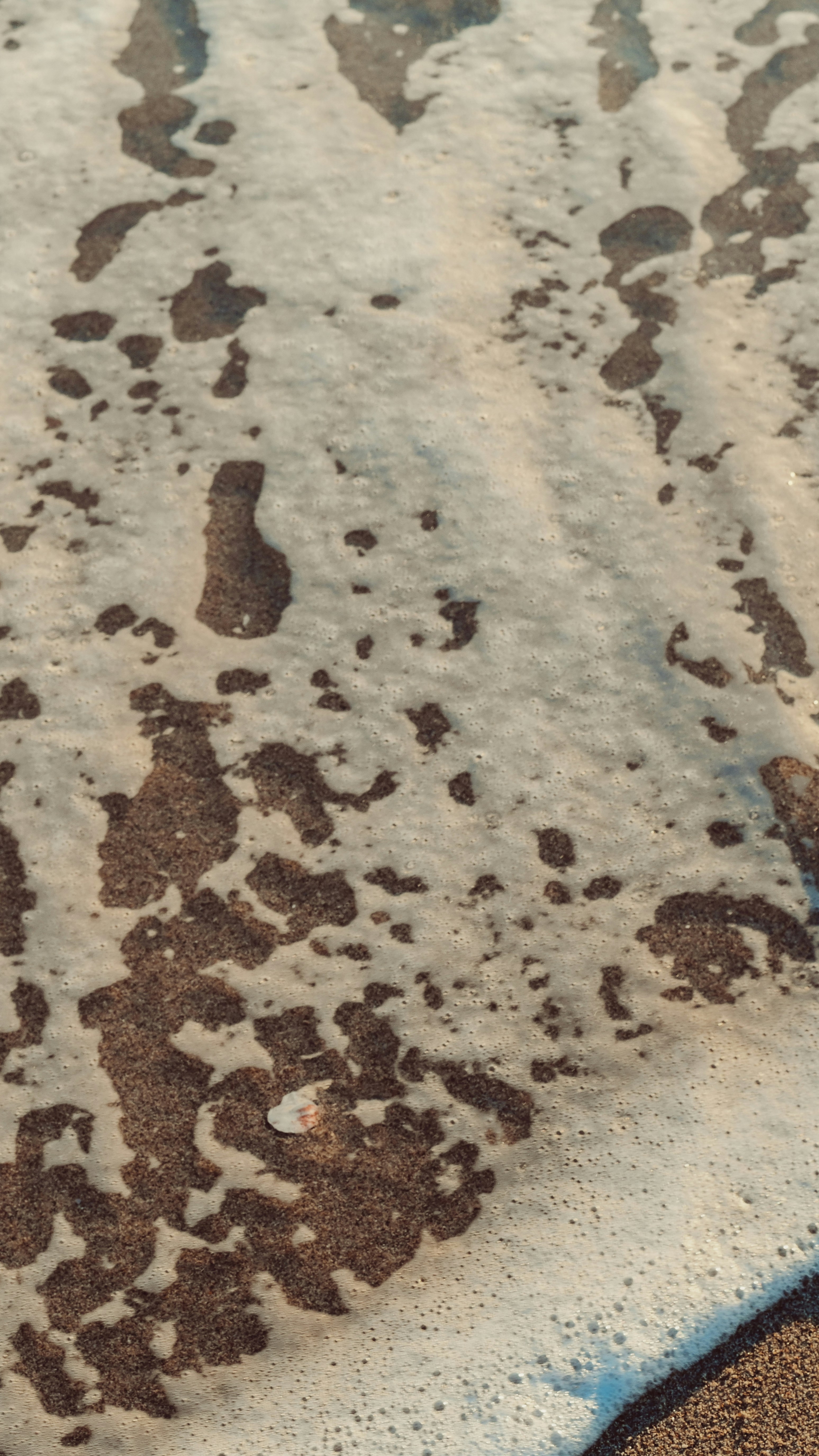 Photo by smuller1987