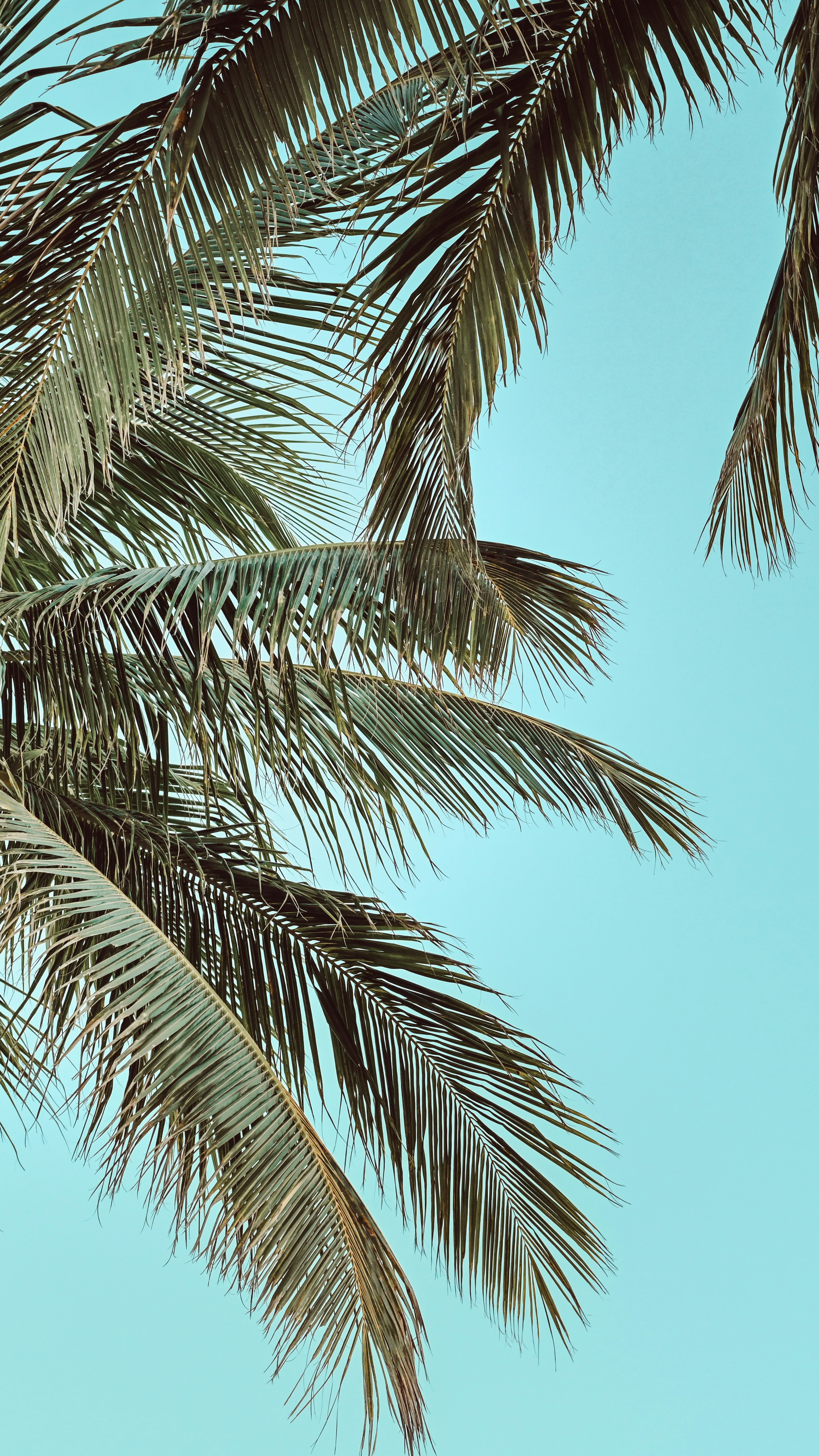 Photo by smuller1987