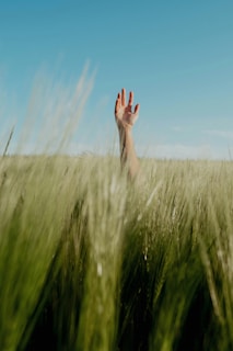 A hand reaching up into the air above a field of grass