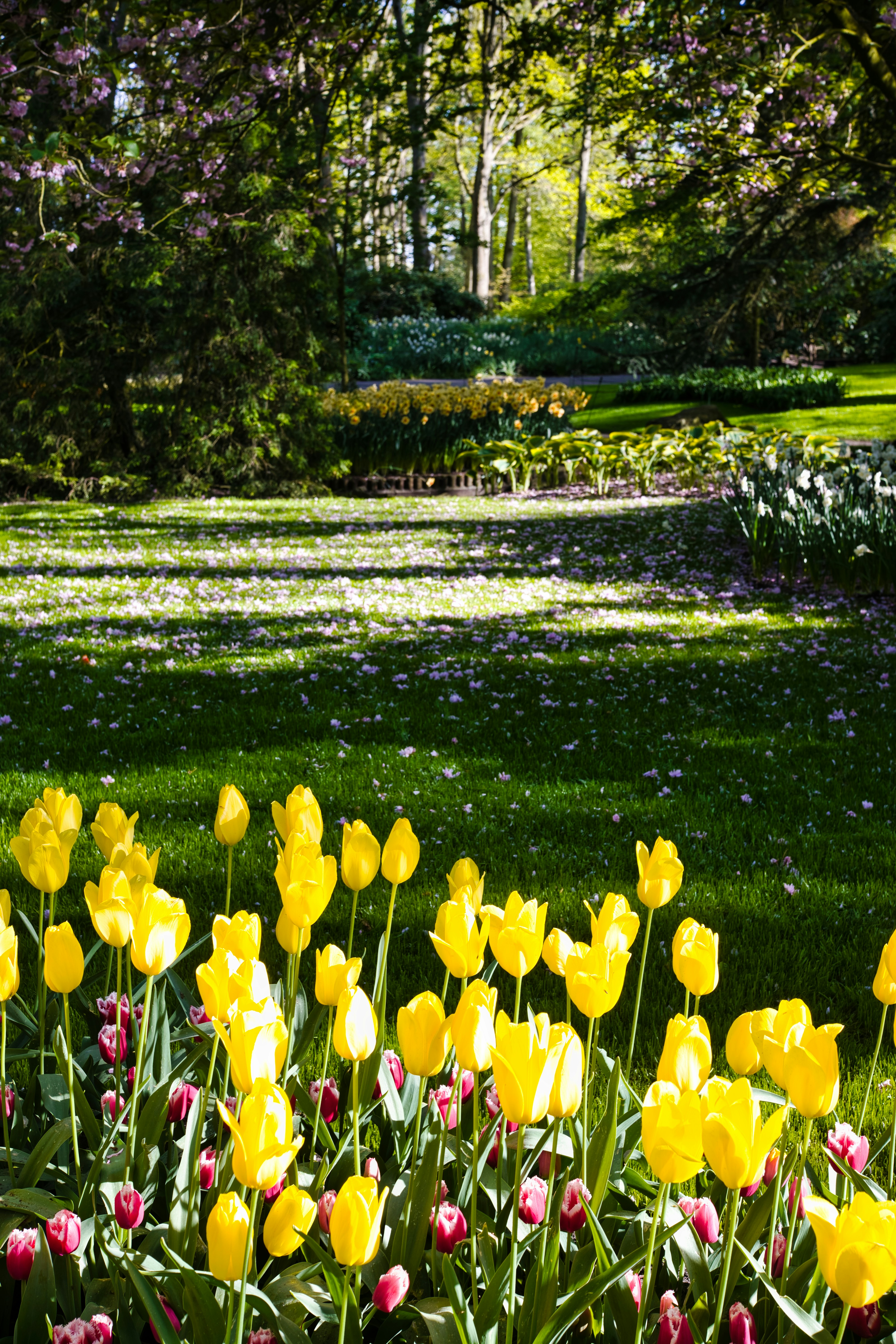 Photo by maksimshutov