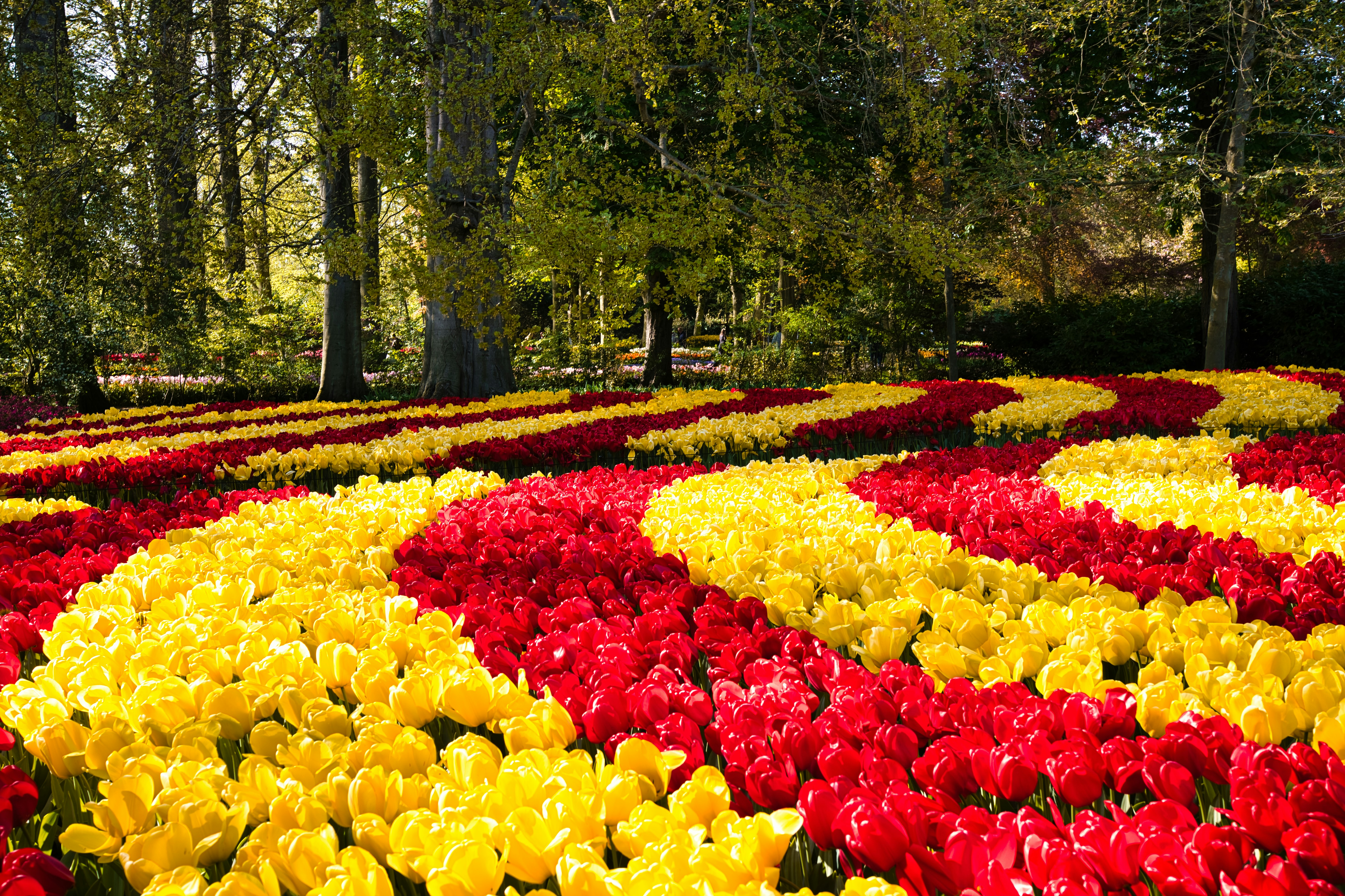 Photo by maksimshutov