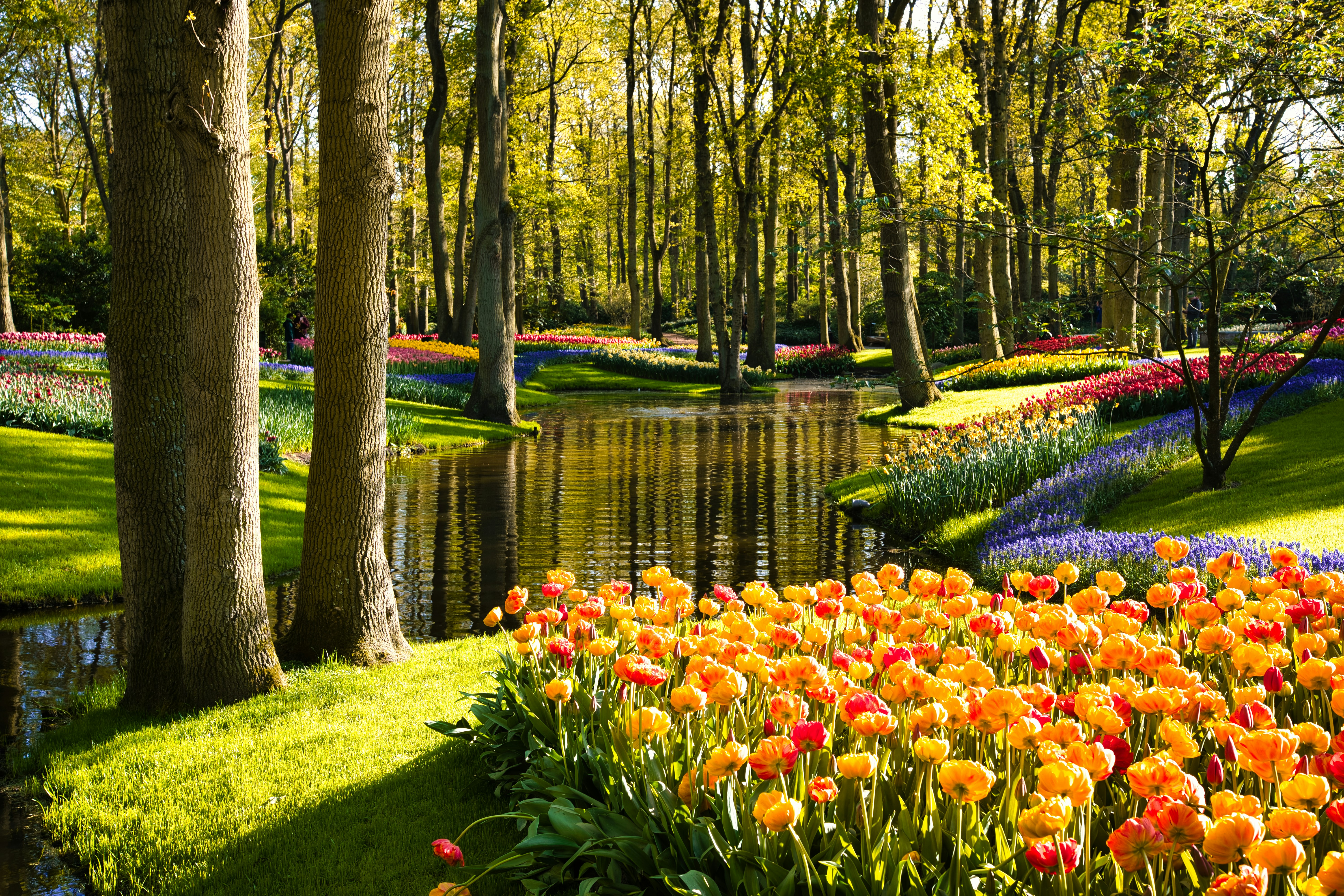 Photo by maksimshutov