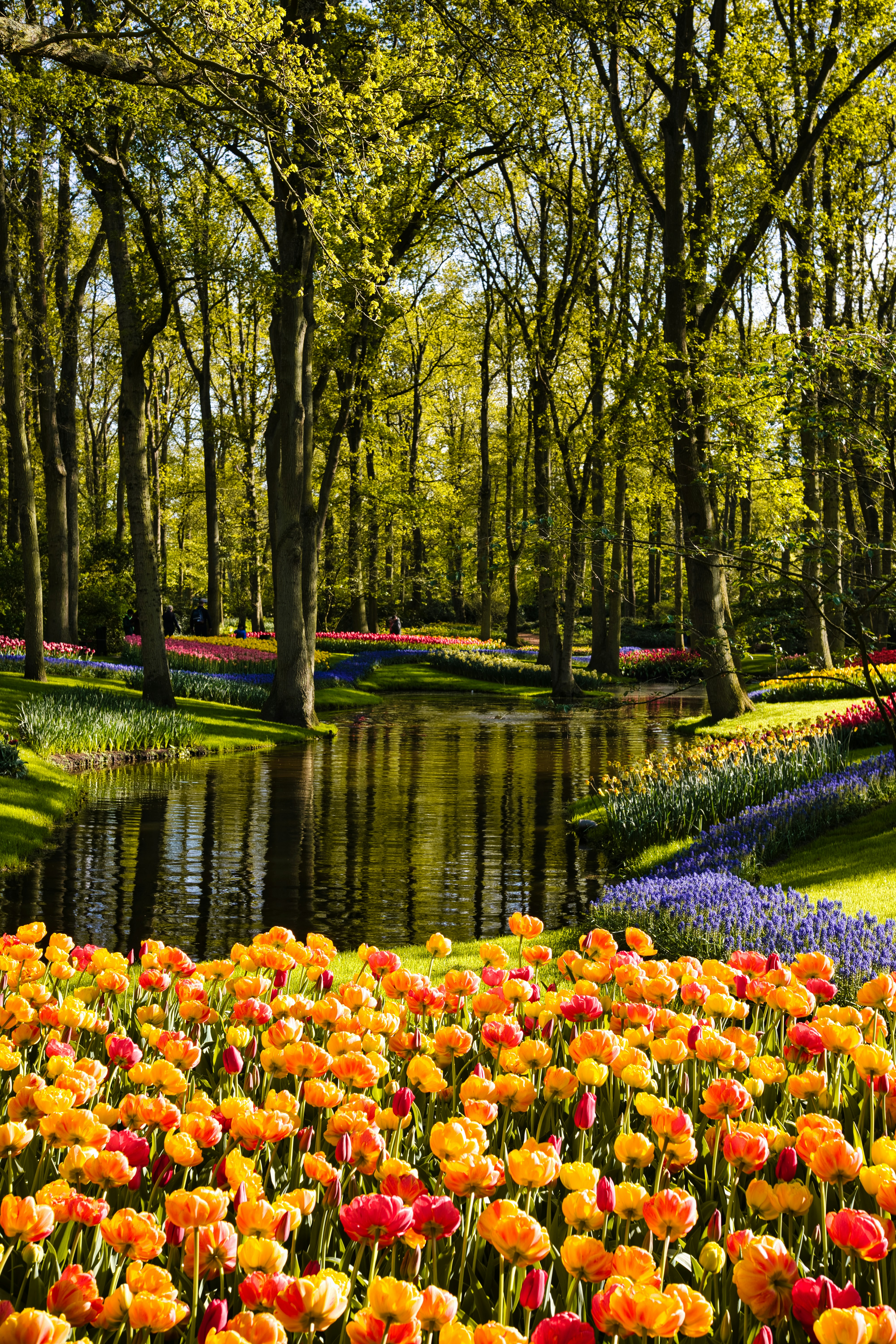 Photo by maksimshutov