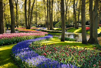 A garden filled with lots of colorful flowers