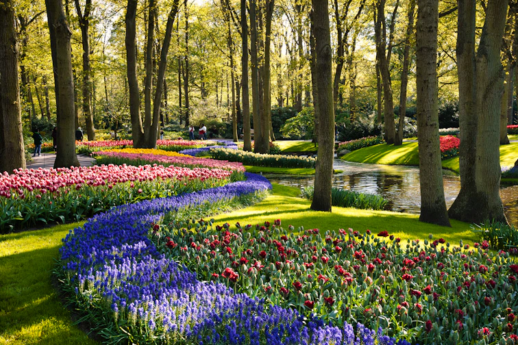 A garden filled with lots of colorful flowers