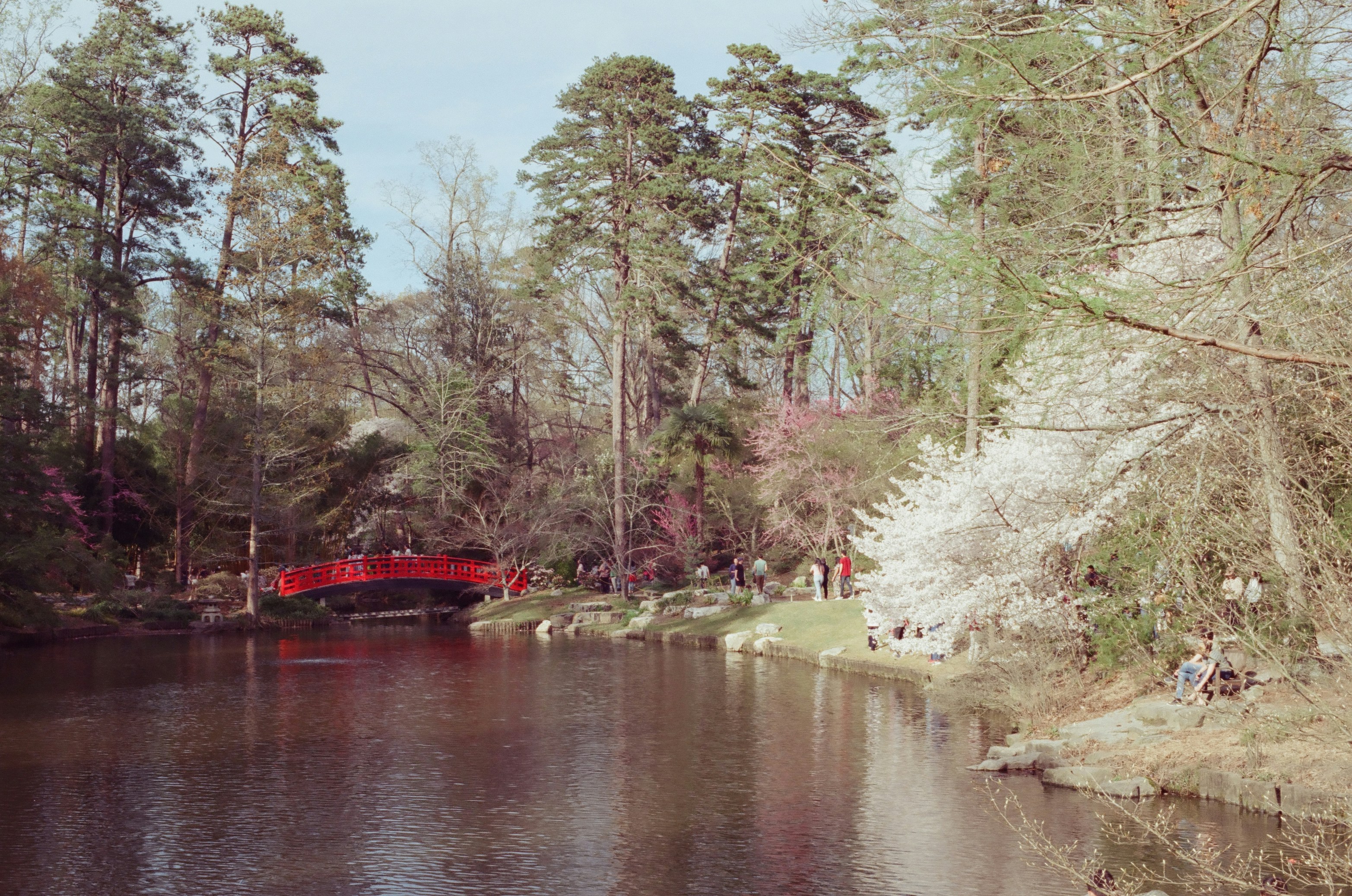 Longview Park