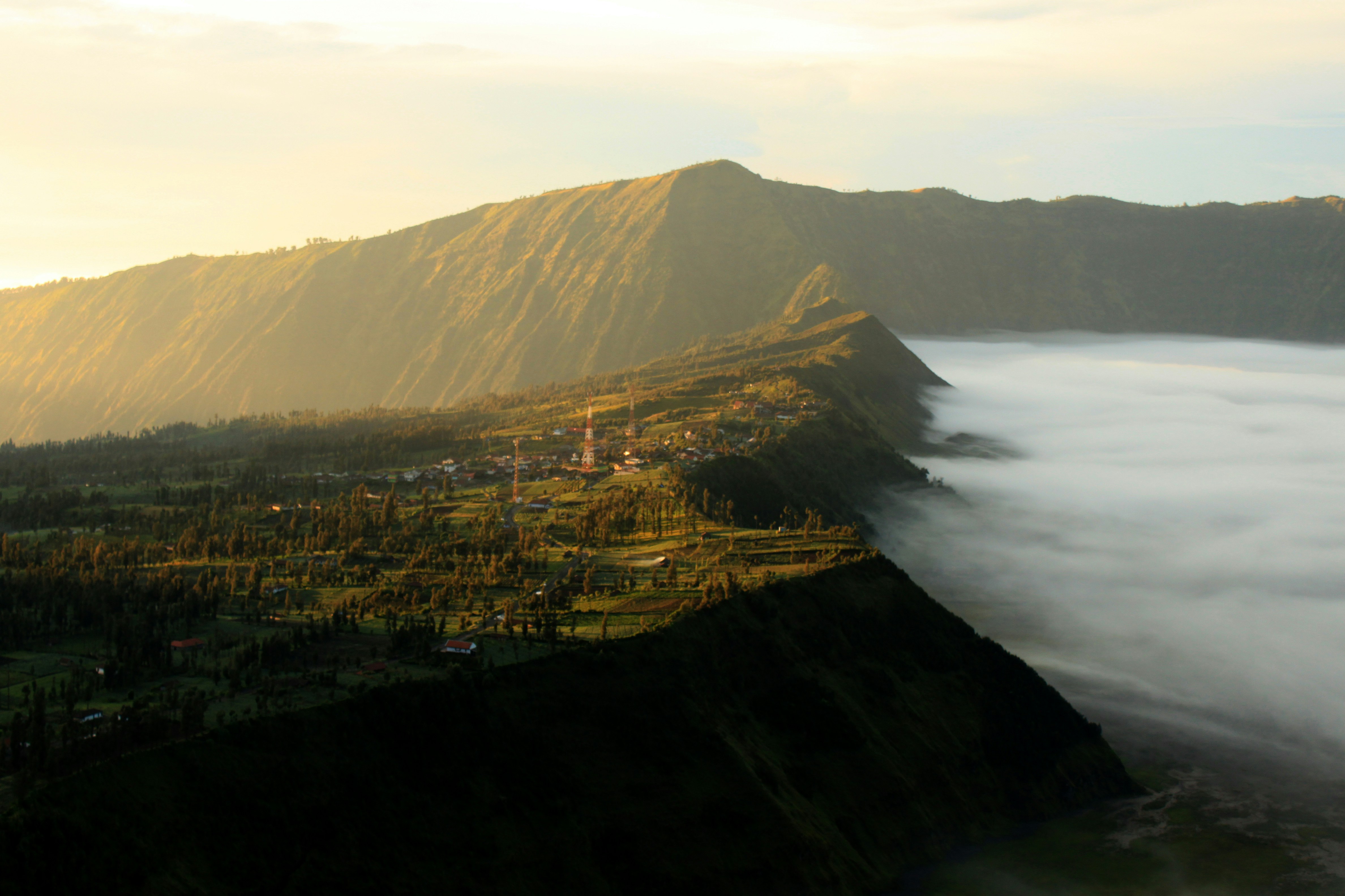 Photo by miguelbaixauli
