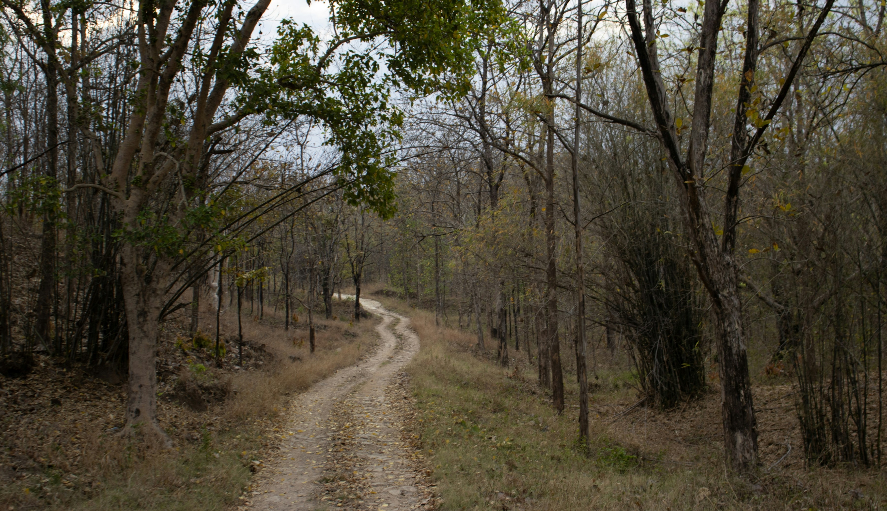 Photo by harshit_suryawanshi