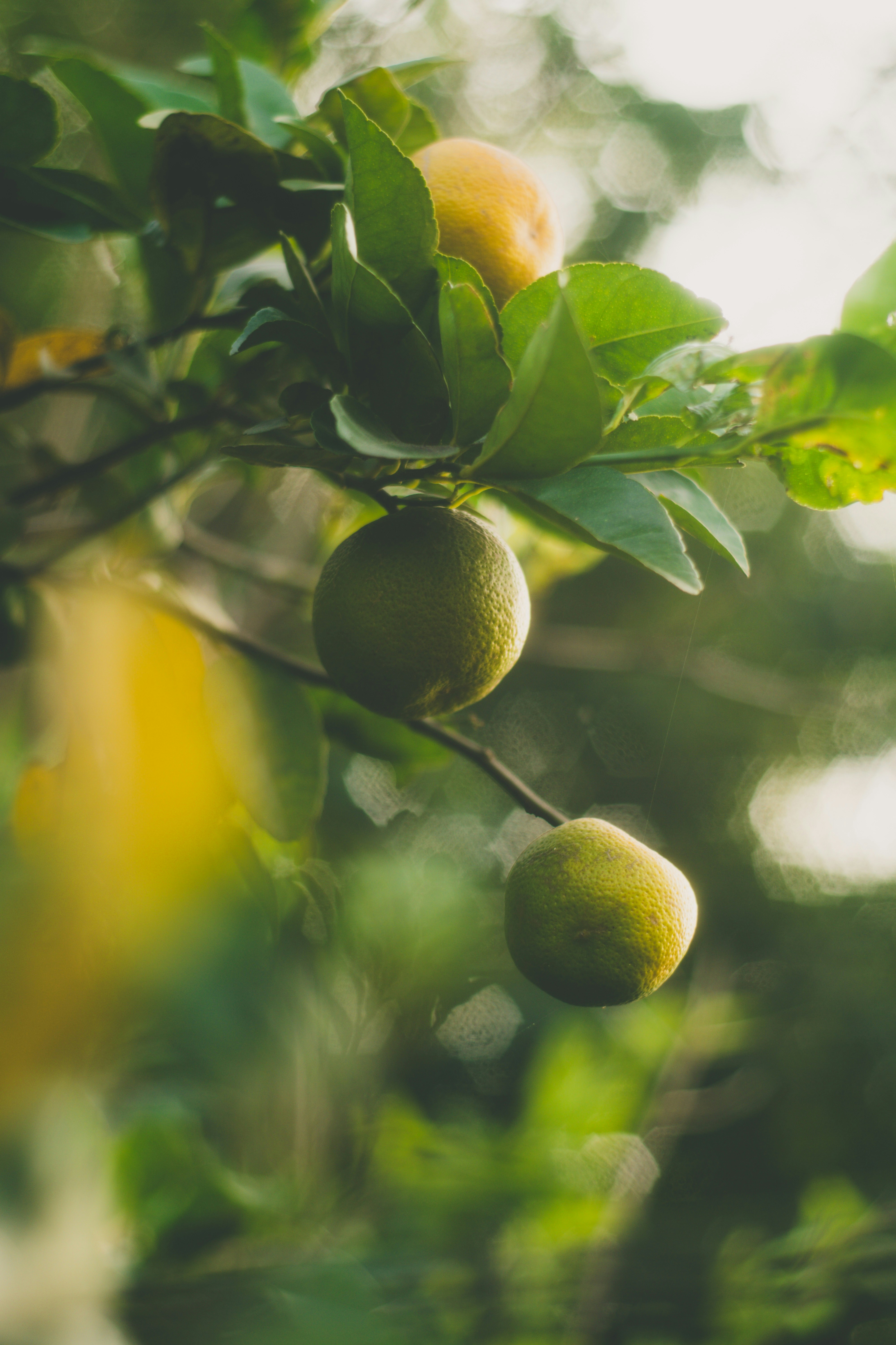 Photo by harshit_suryawanshi