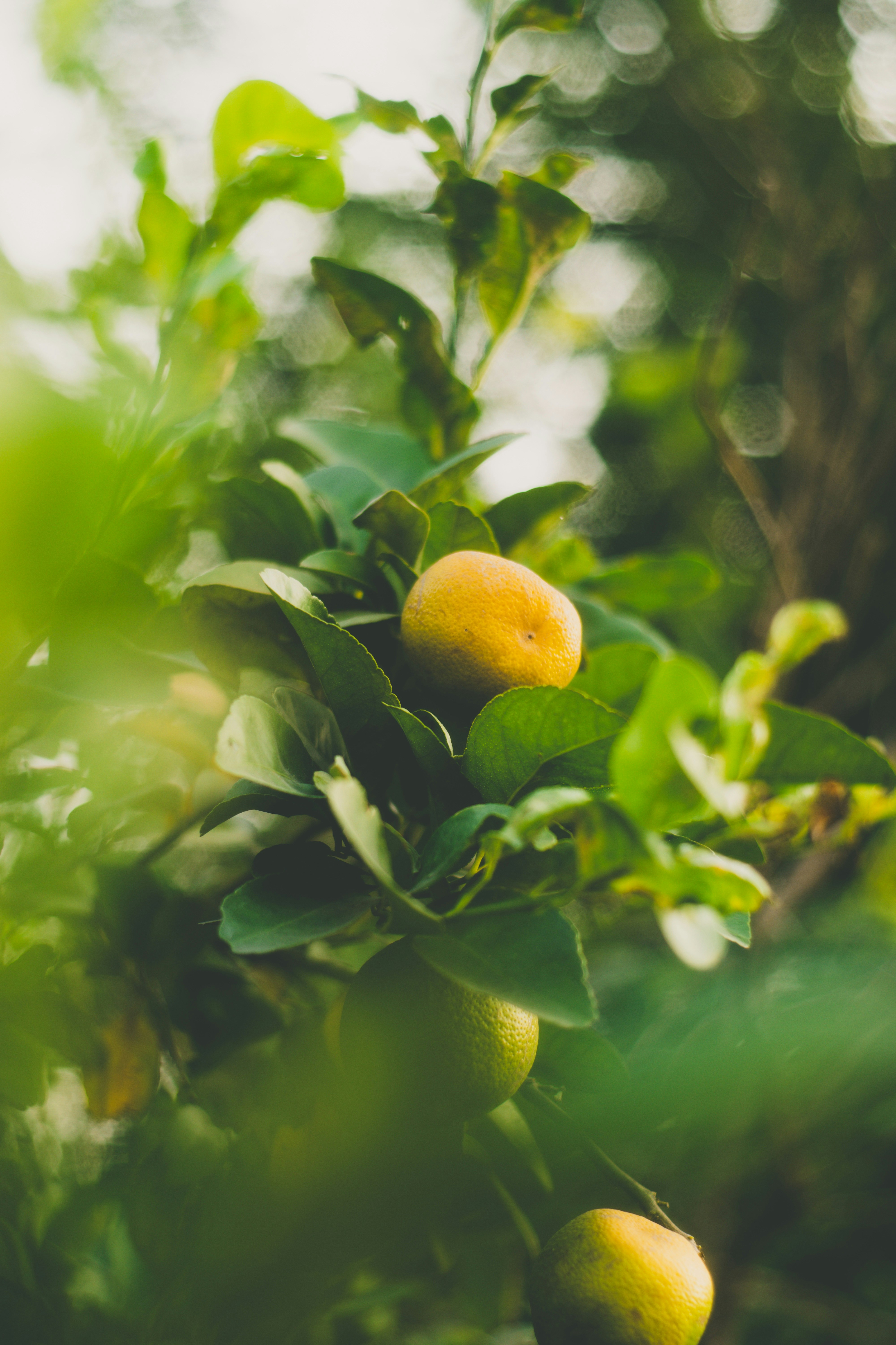 Photo by harshit_suryawanshi