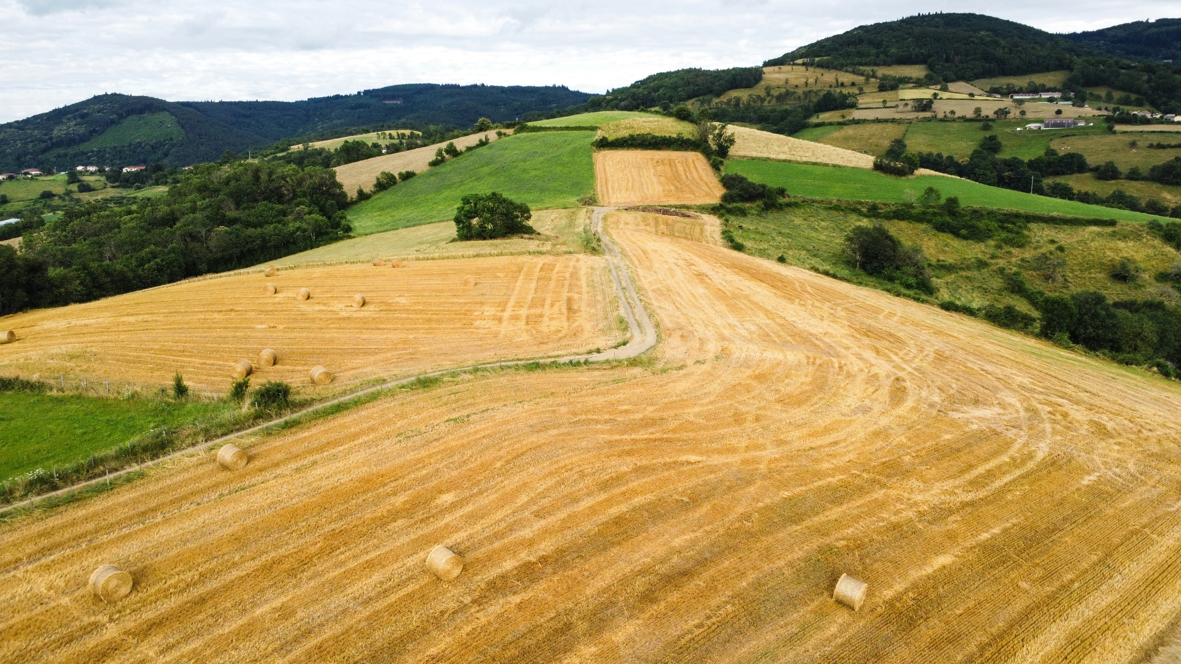 An aerial view of a farm field with bales of hay