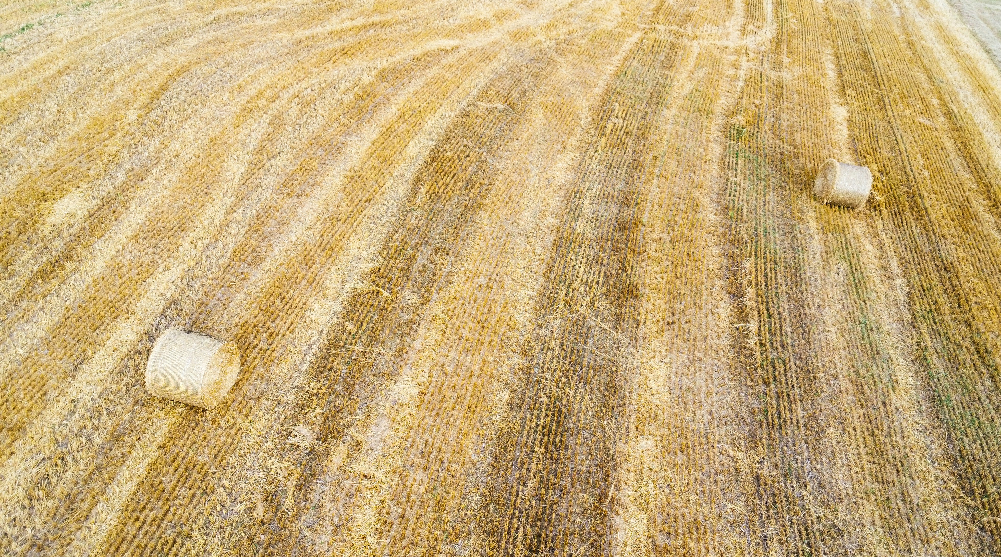 Photo by lucasgallone