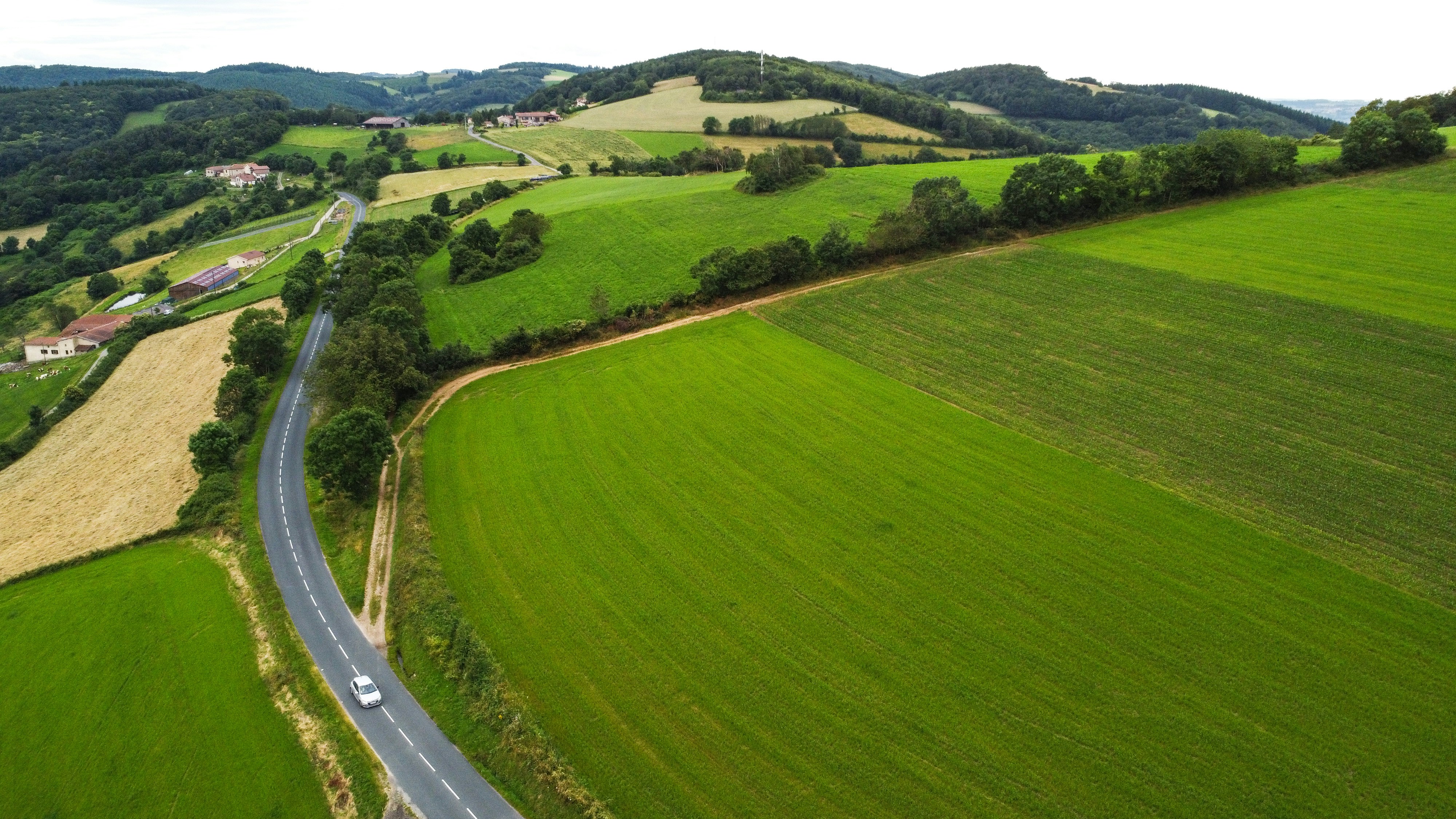 Photo by lucasgallone