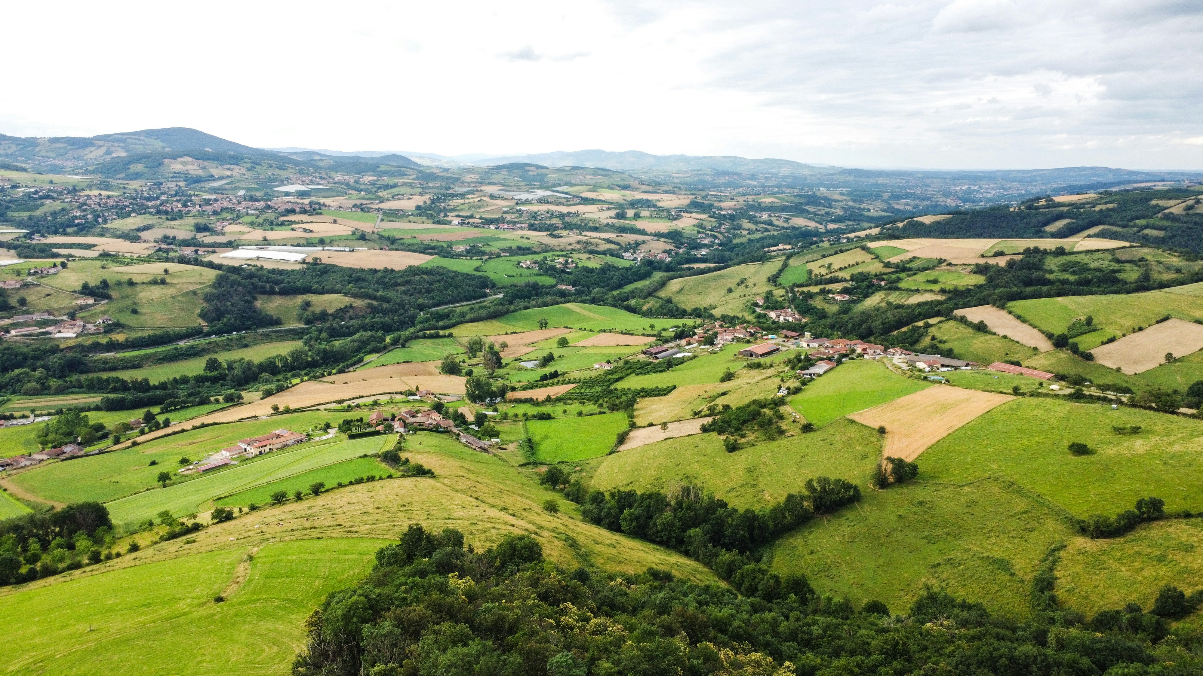 Photo by lucasgallone