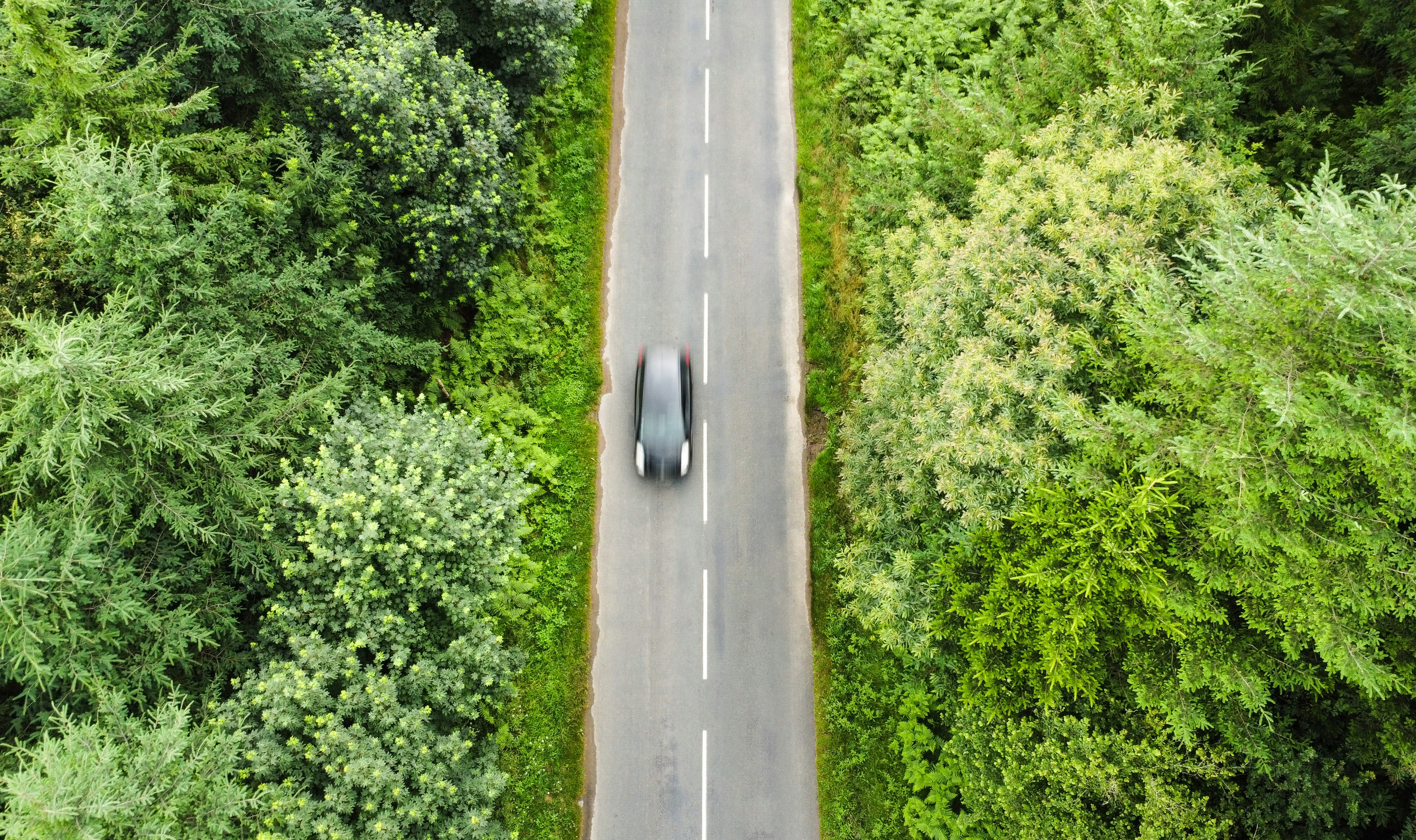 Photo by lucasgallone