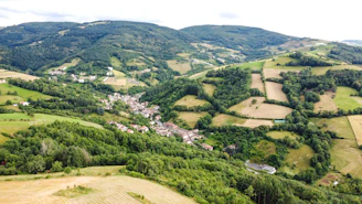 A scenic view of a valley and mountains