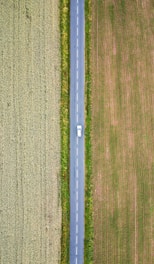 An aerial view of a road in the middle of a field
