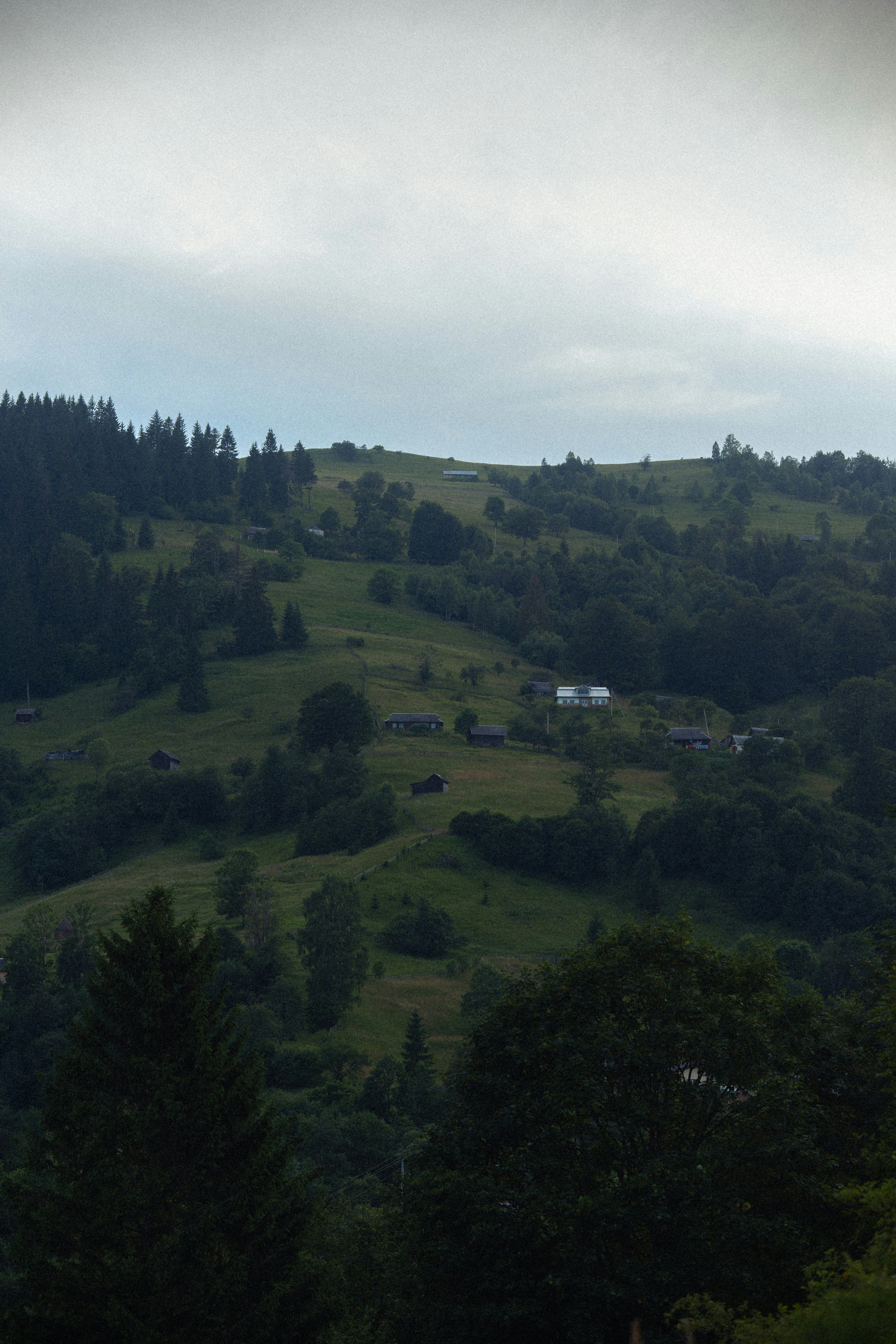 Photo by samoyedness