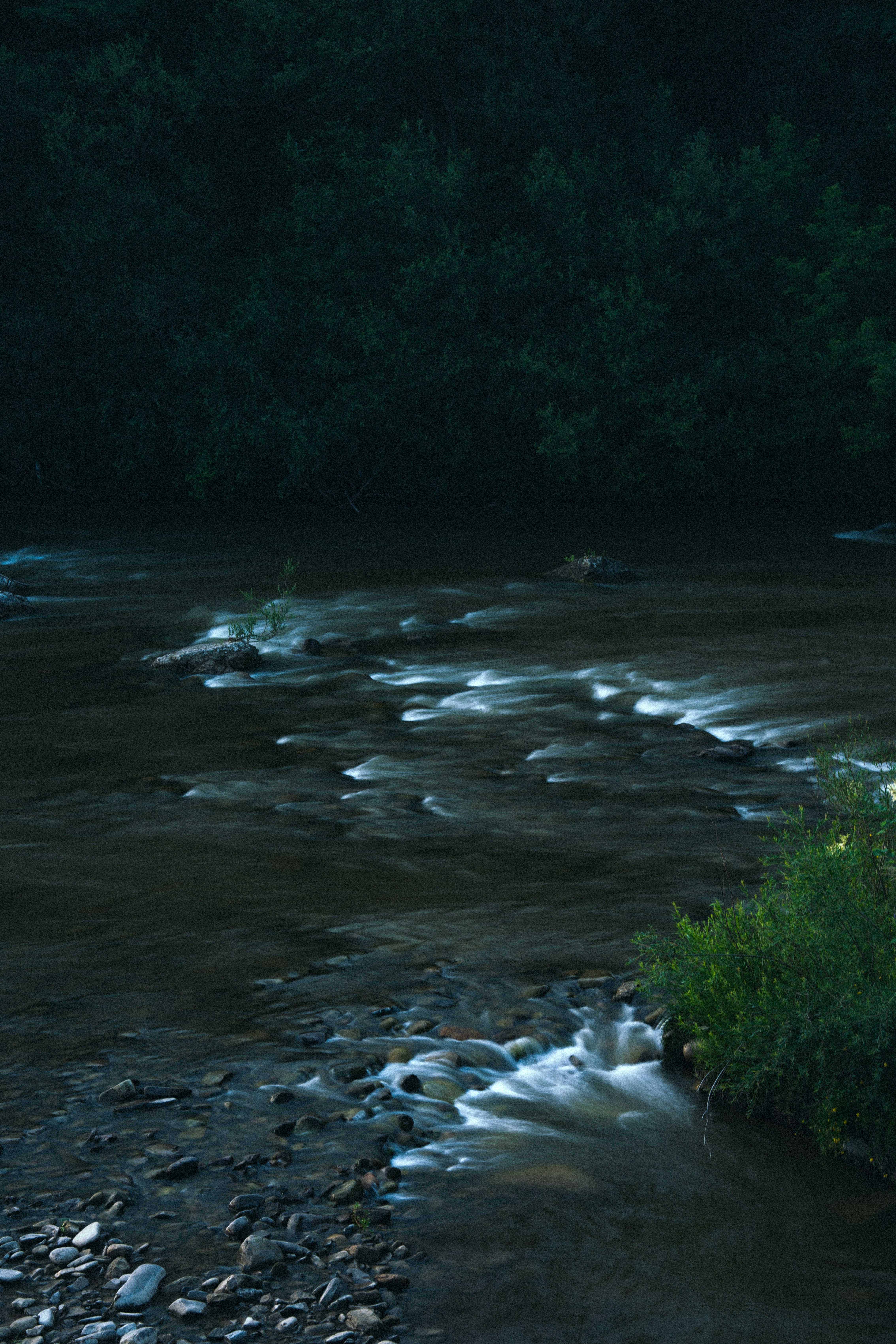 Photo by samoyedness