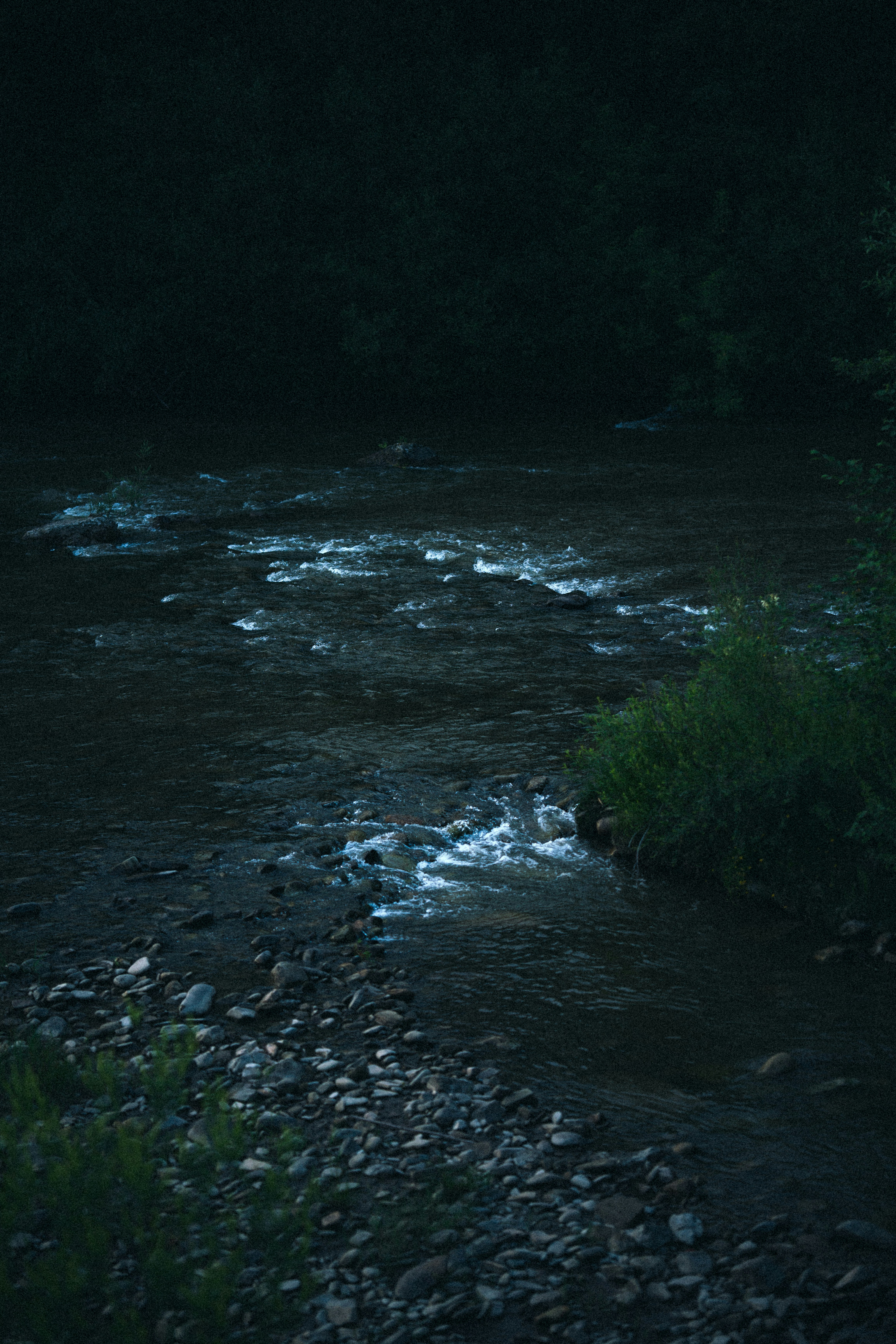 Photo by samoyedness