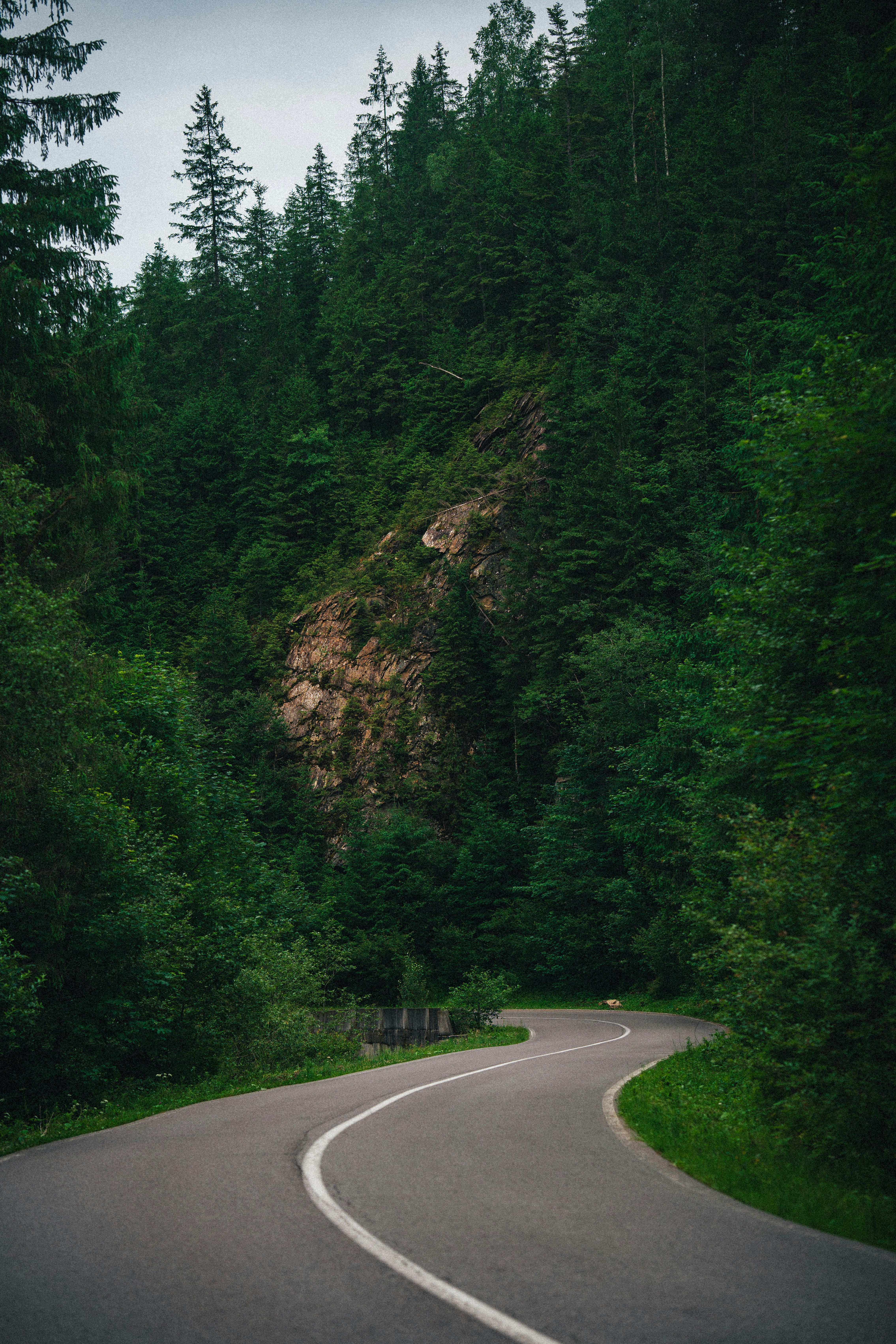 Photo by samoyedness