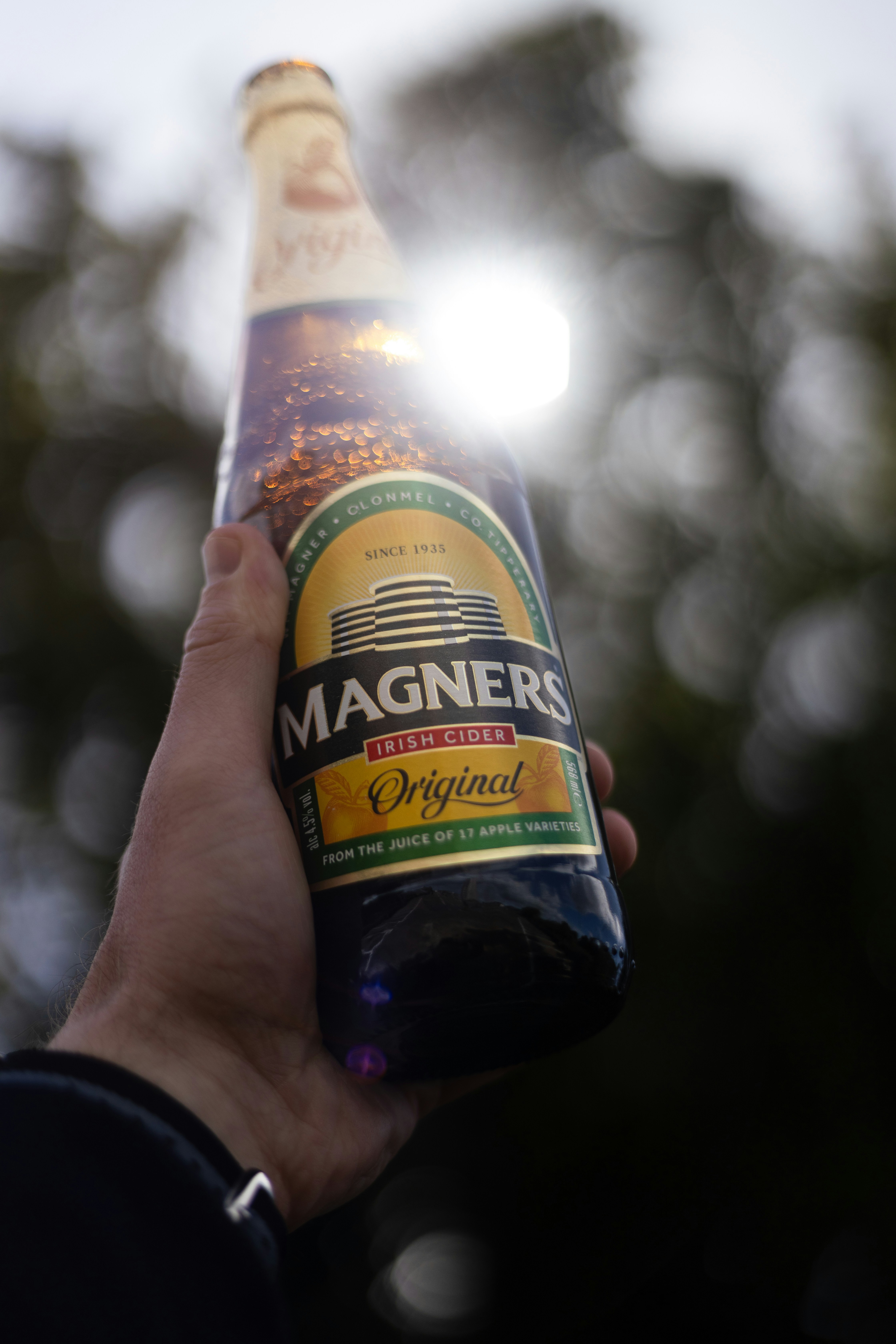 A person holding a bottle of beer in their hand