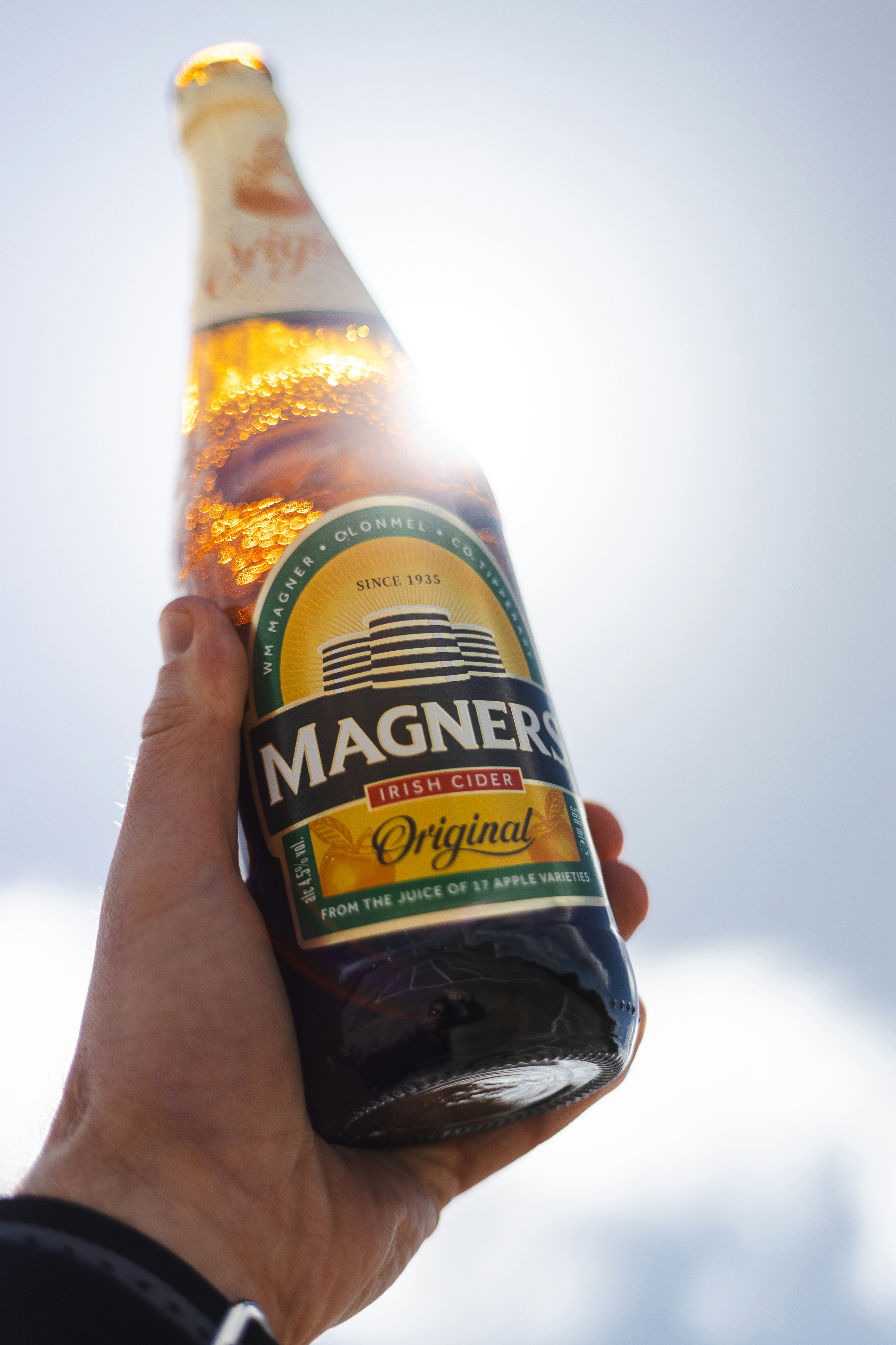 A person holding a bottle of beer in their hand